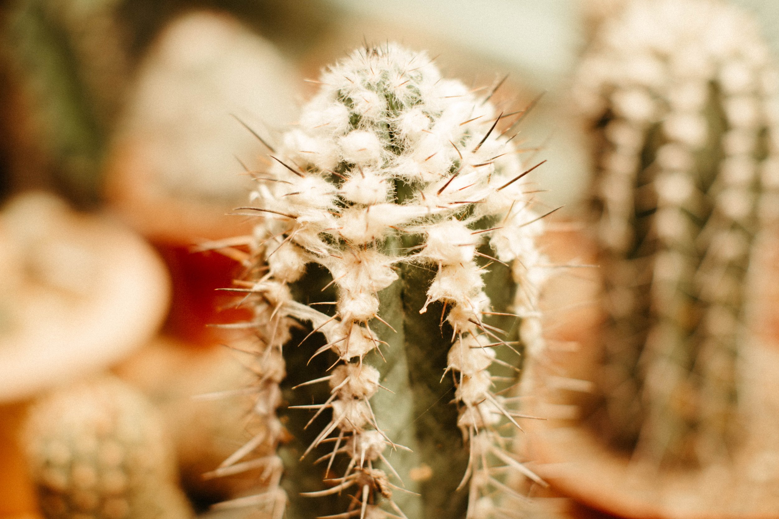 Don't be a Prick.jpg