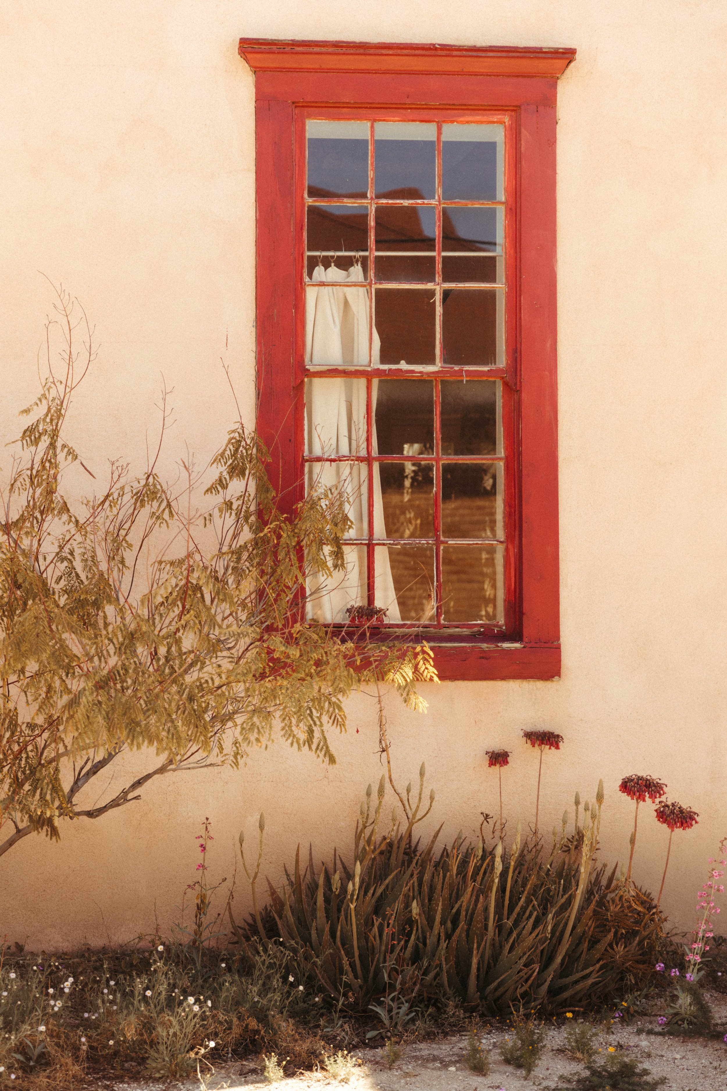 Barrio Viejo Collection