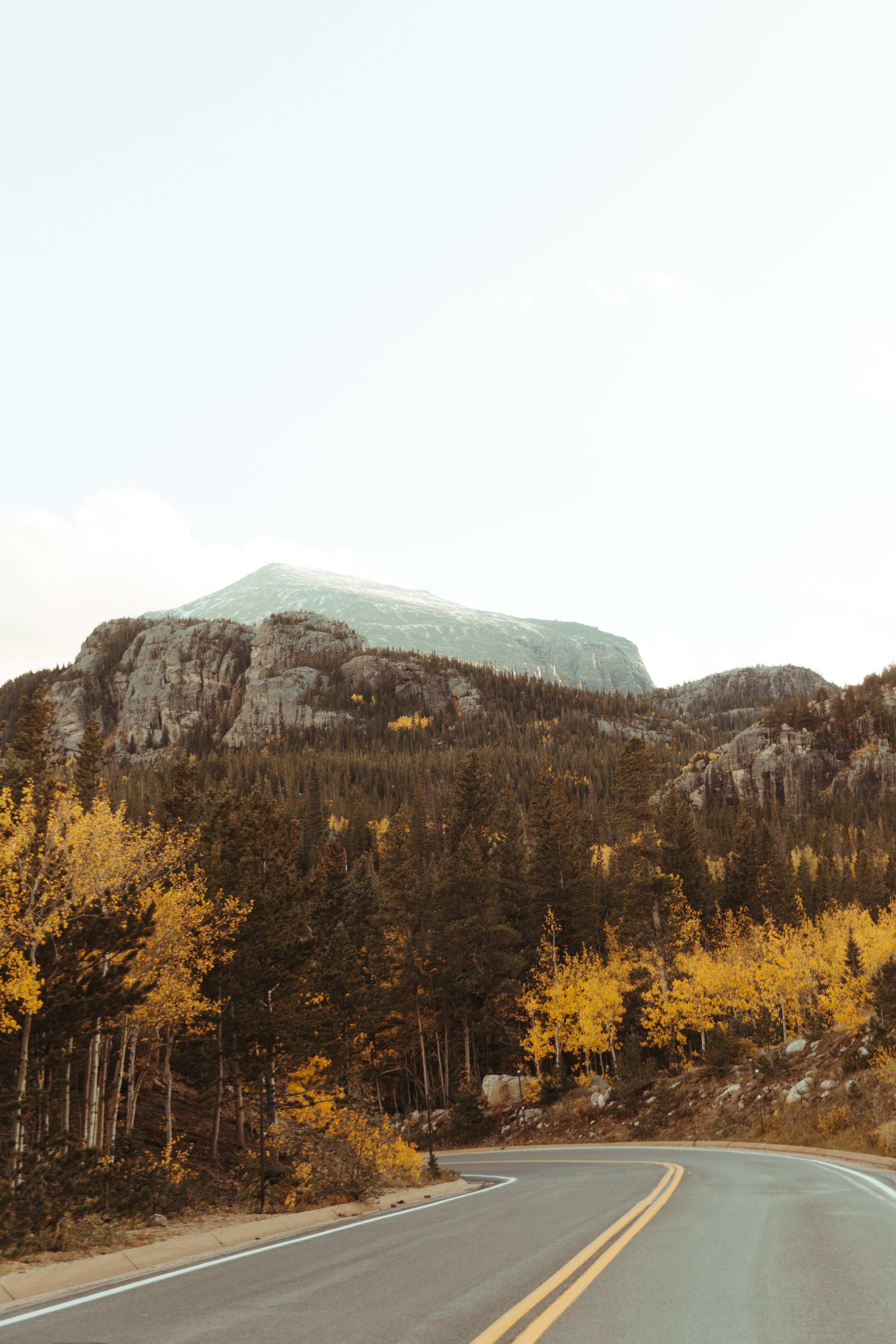 Fall in Colorado Vertical.jpg
