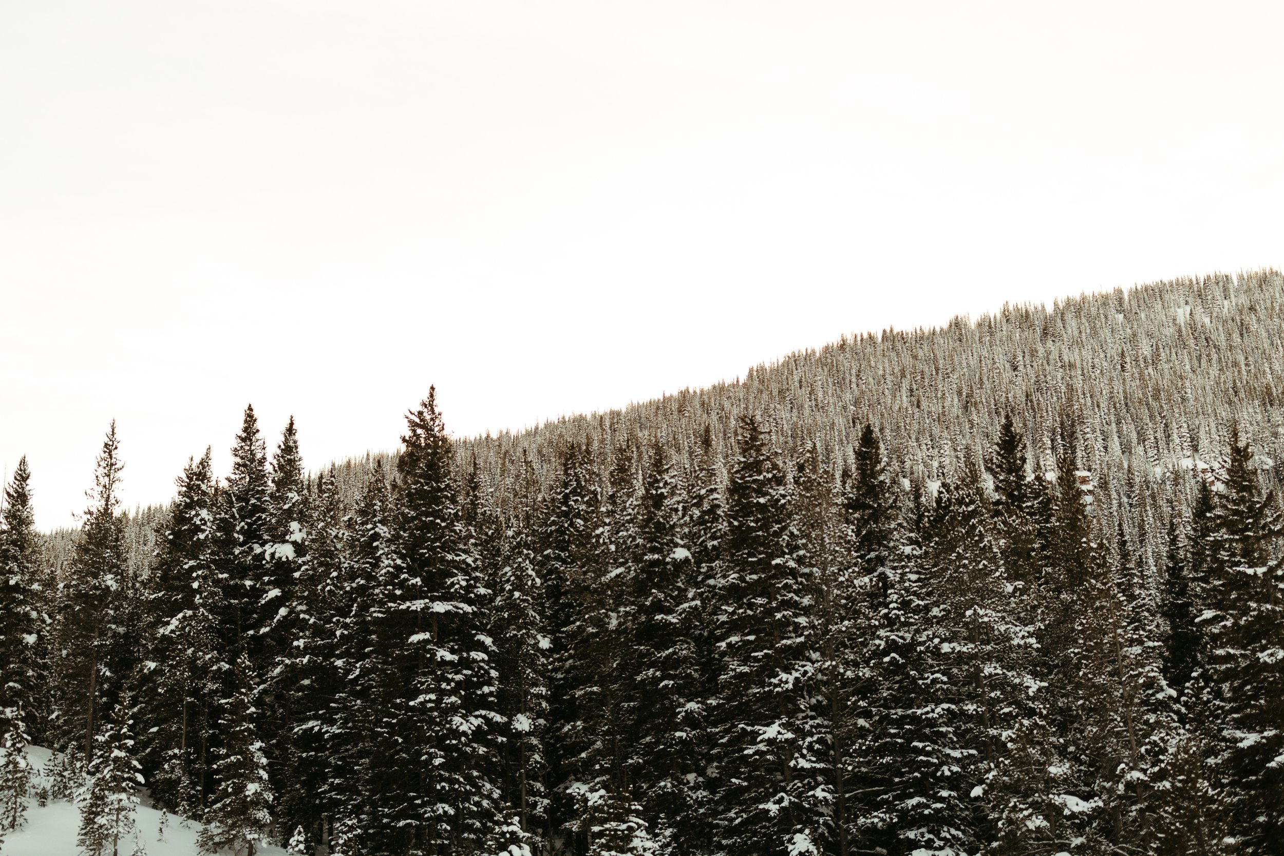 Vail Winter.jpg