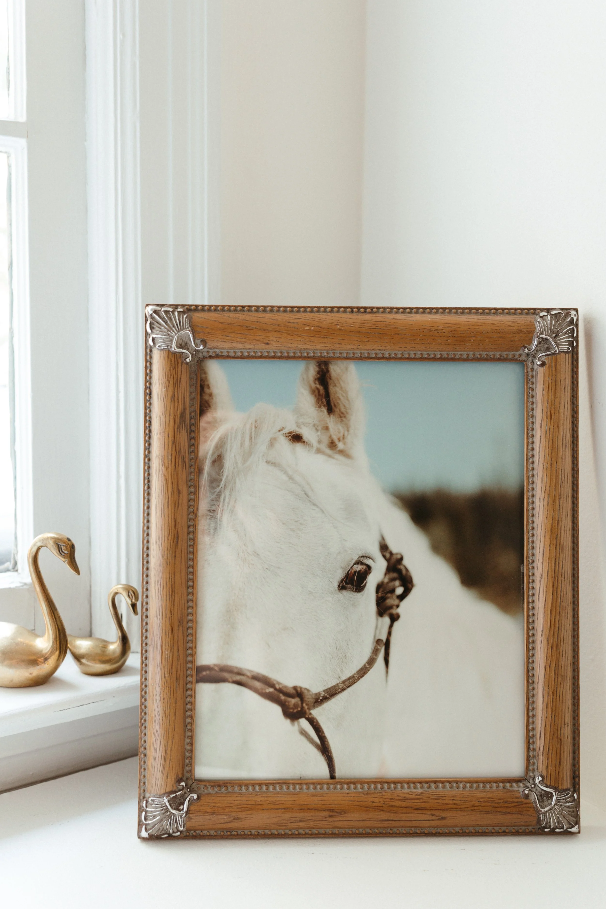 BrookeBuck-7016.jpg