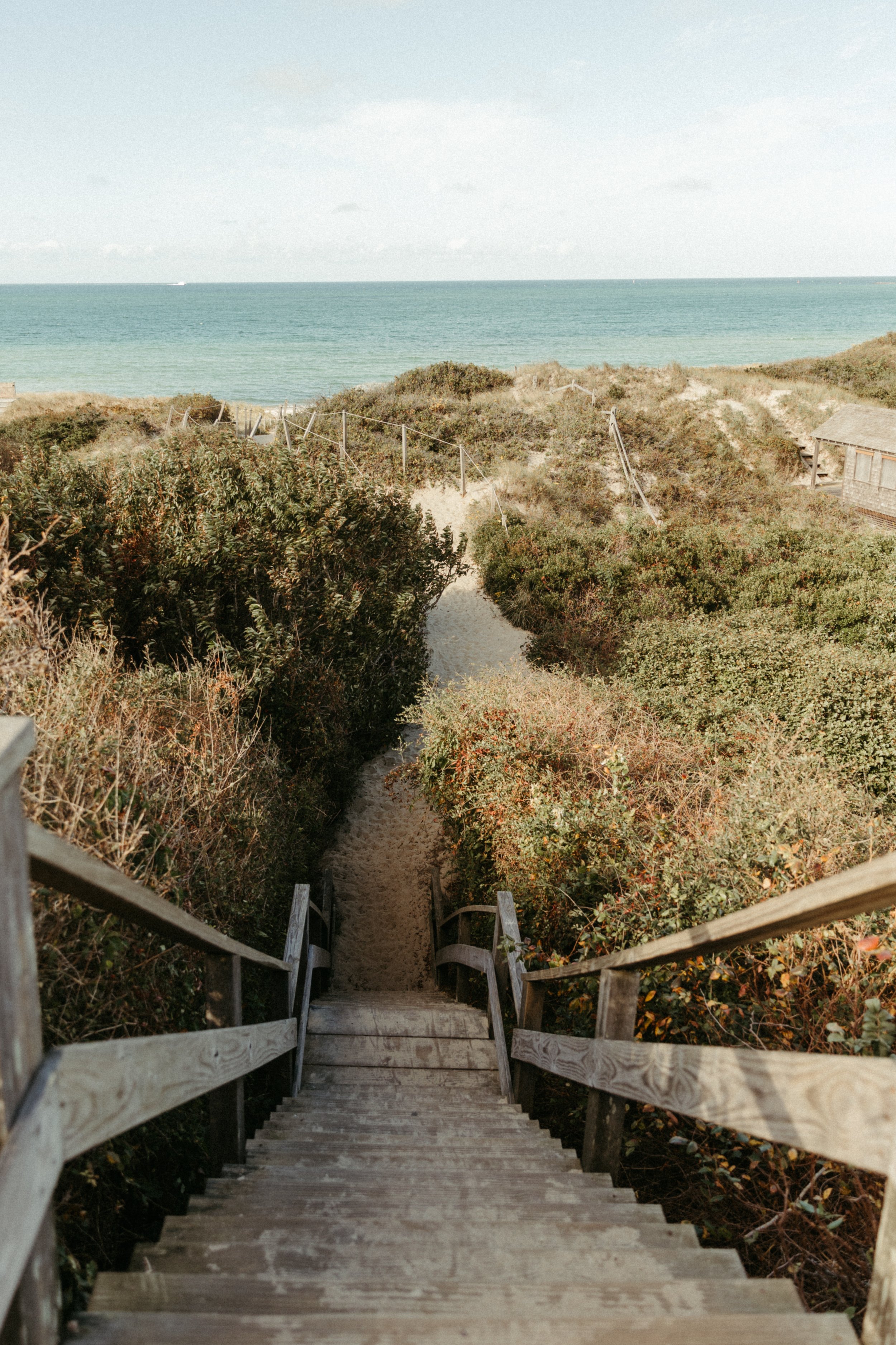 Vertical Nantucket.jpg