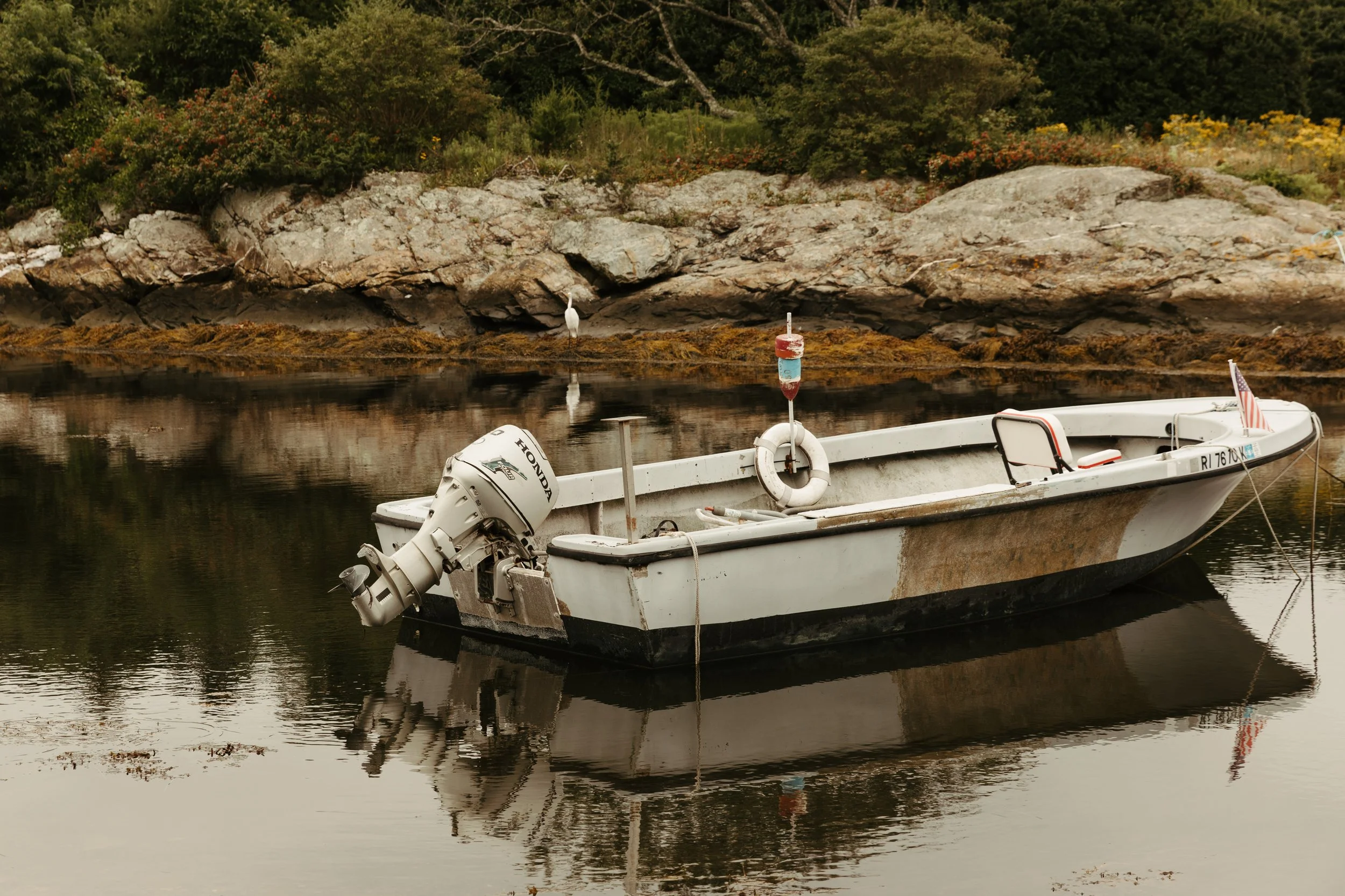 Still Harbor Horizontal.jpg
