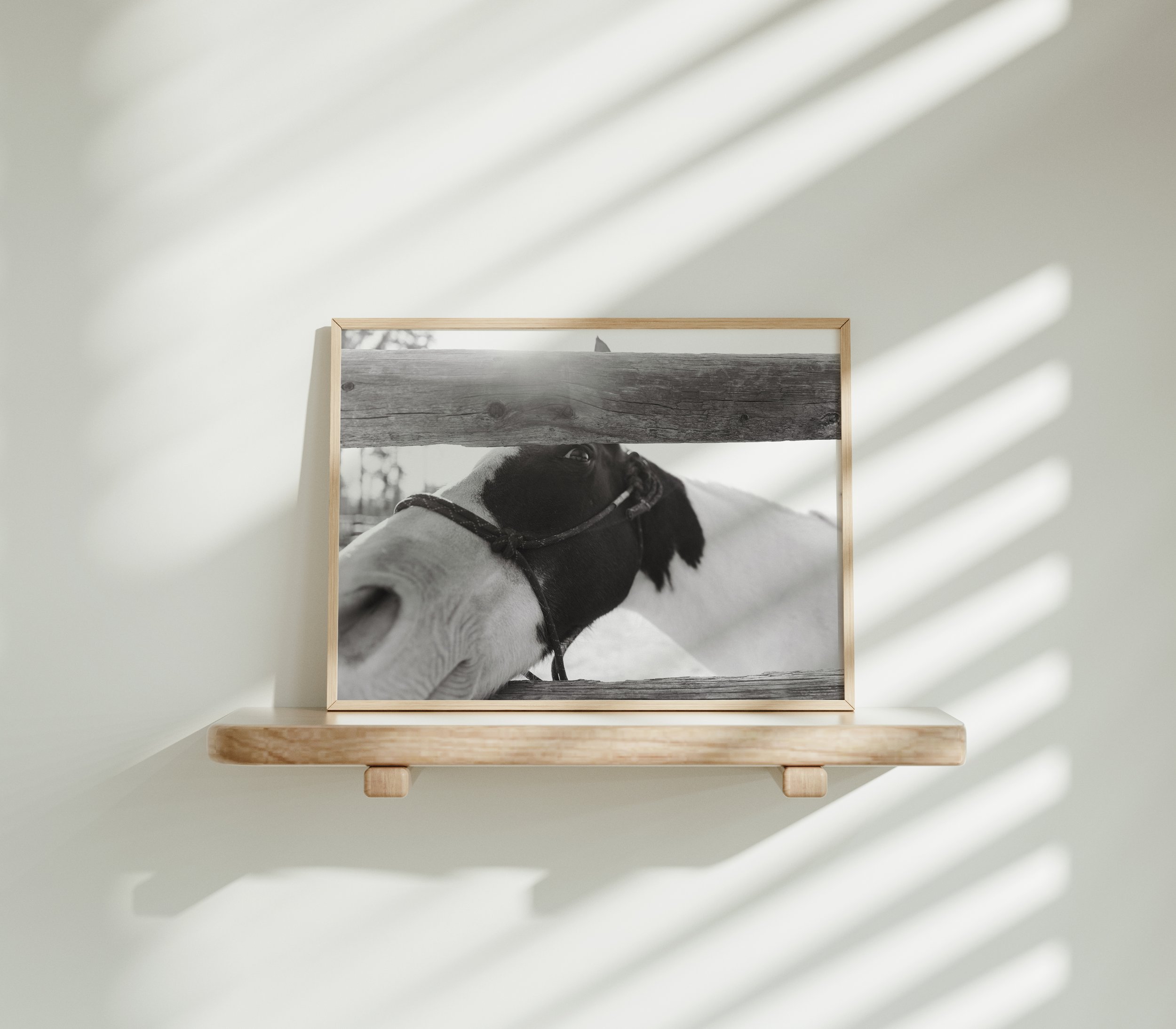 More Pets Please Mockup.jpg