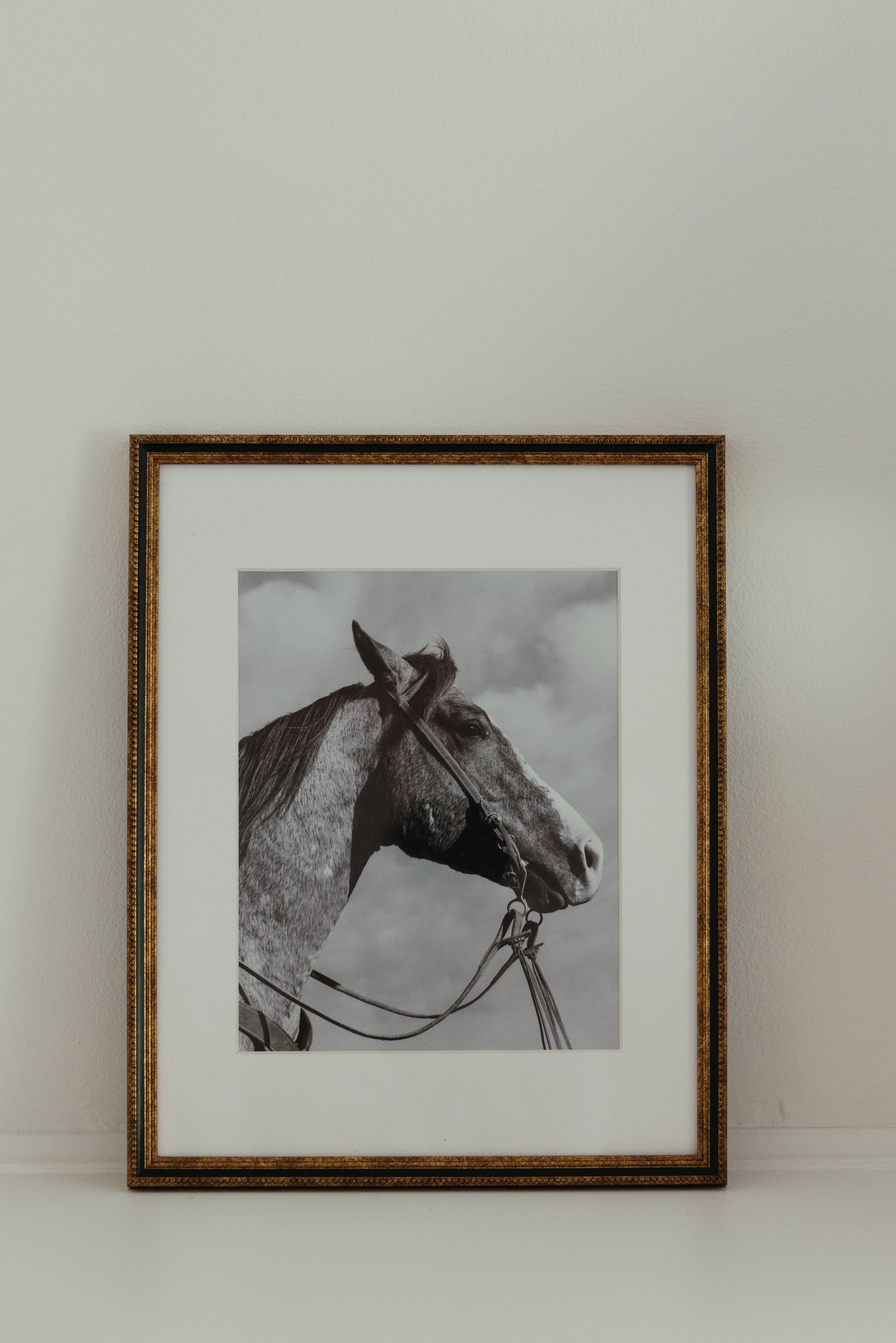 BrookeBuck-3372.jpg