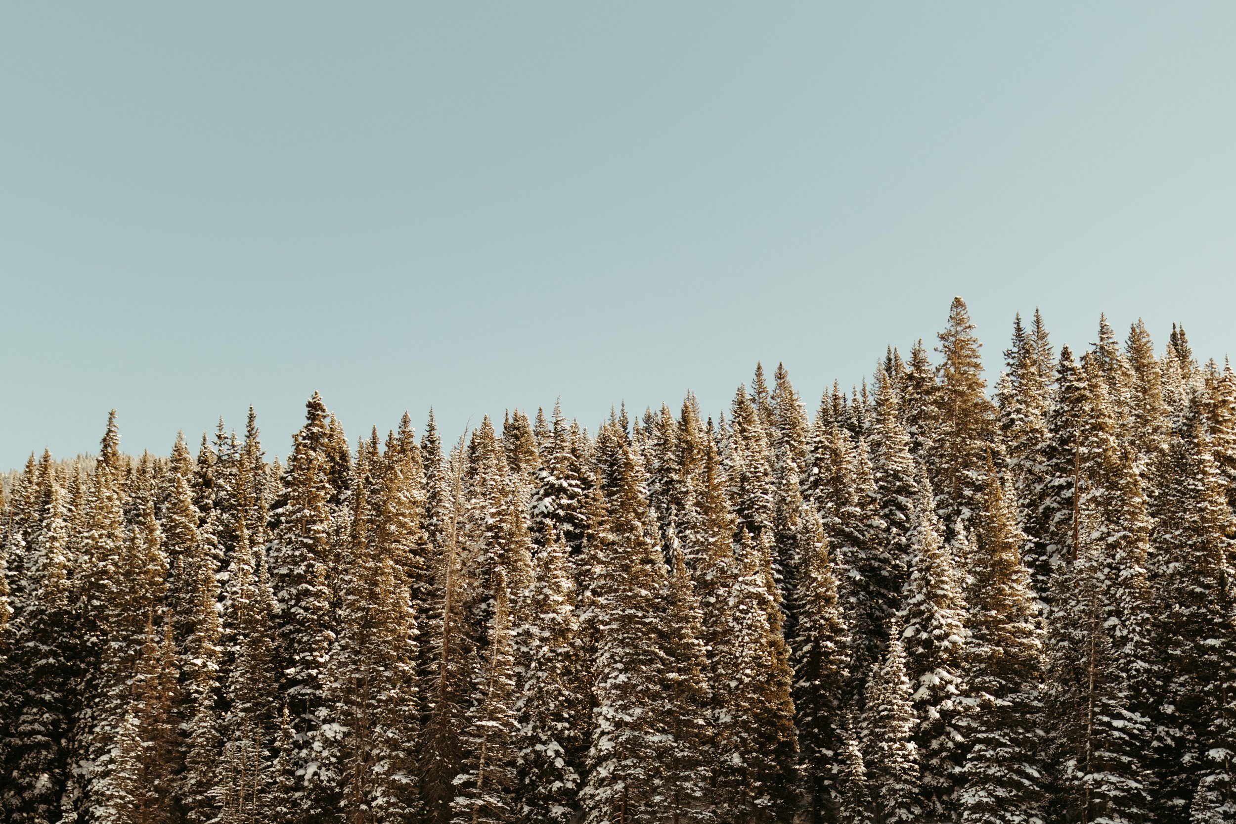 Winter in Vail