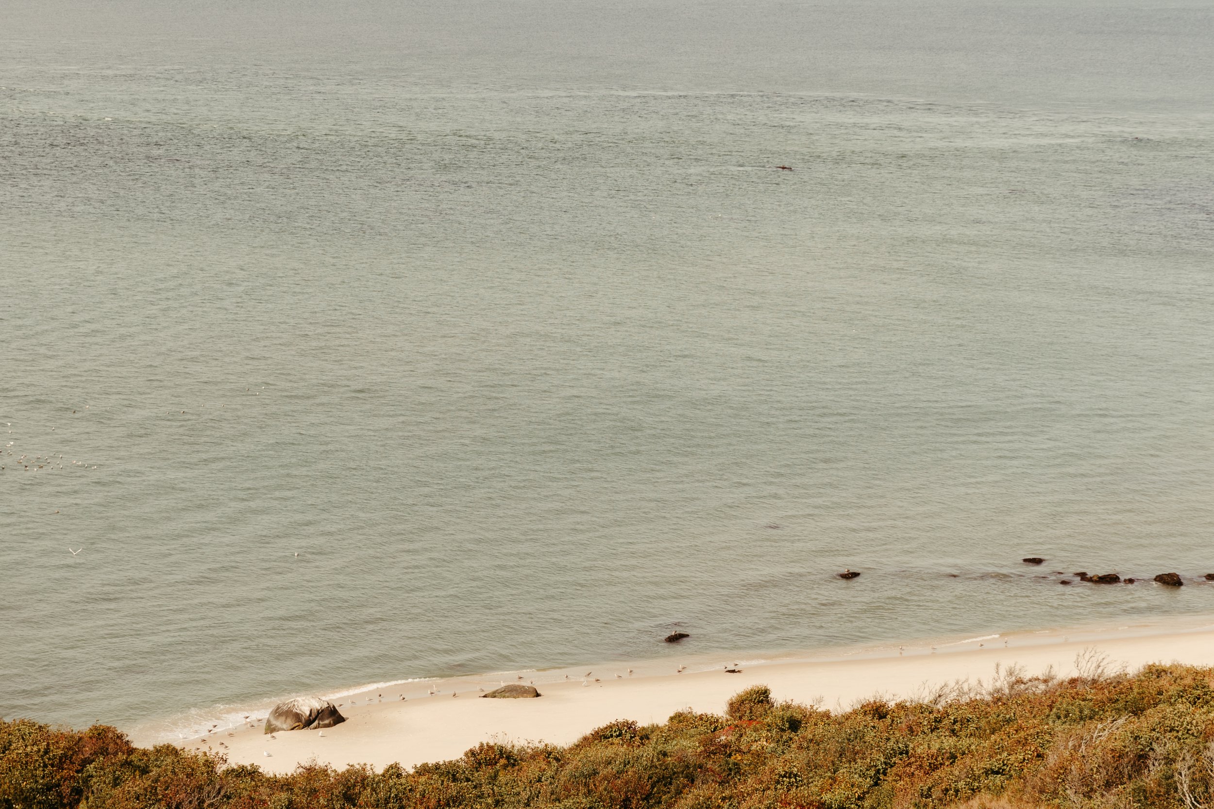 Aquinnah Cliffs Coast.jpg