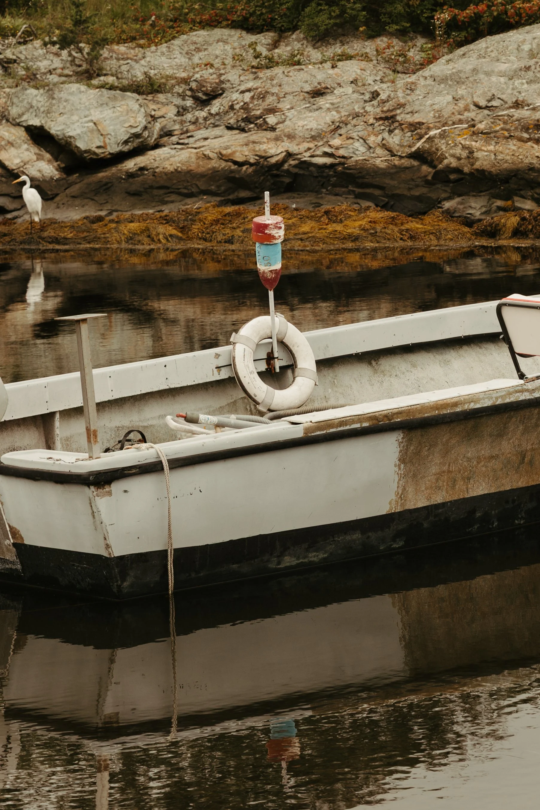 Still Harbor.jpg