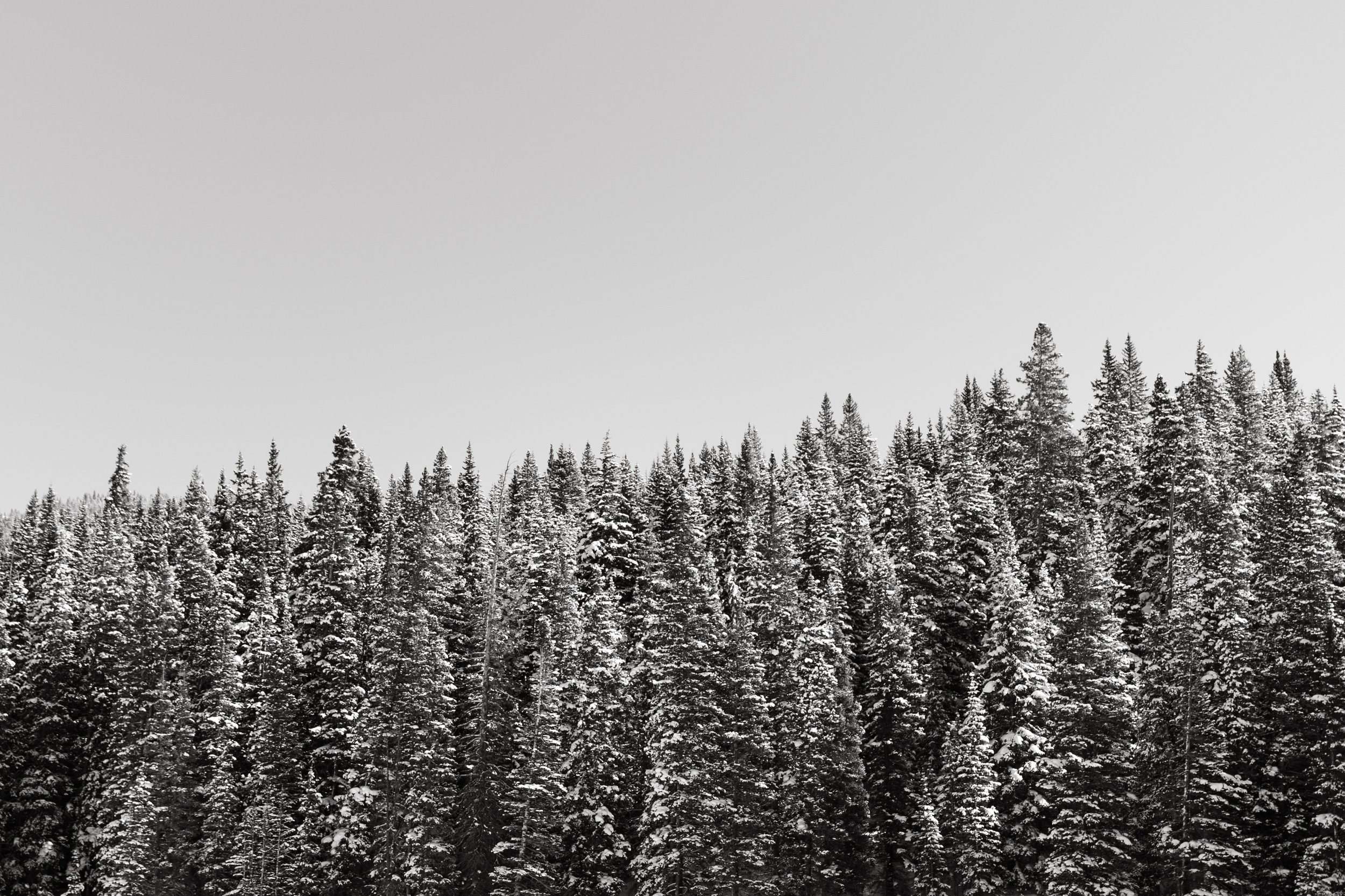 Winter in Vail B&W.jpg