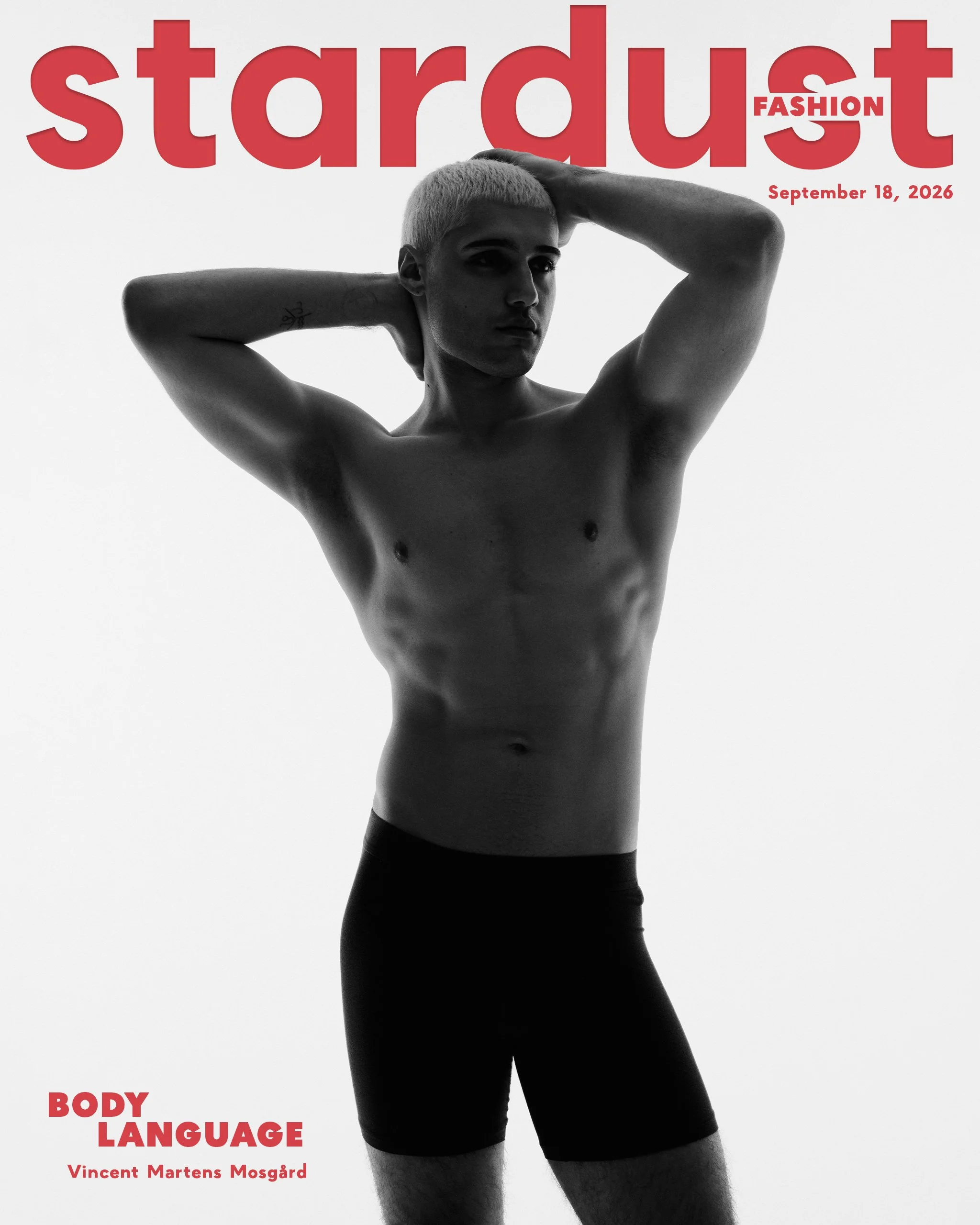STARDUST-BL-G.jpg