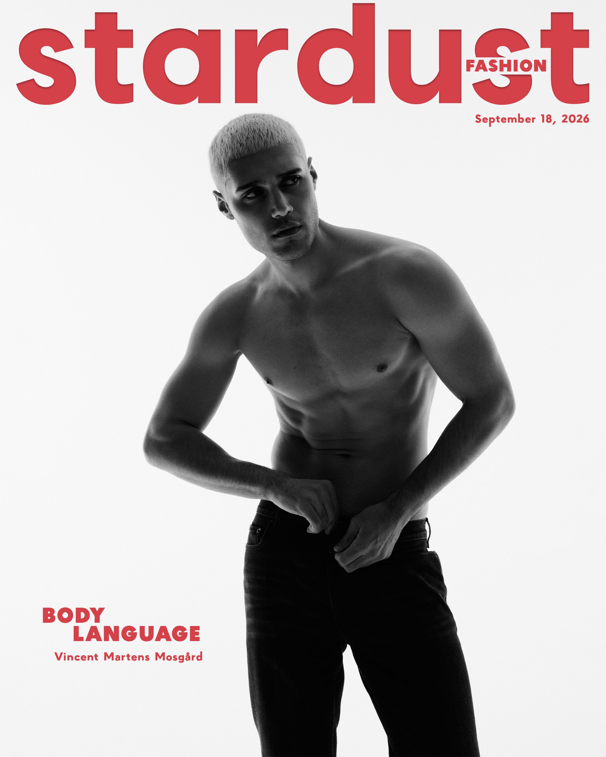 STARDUST-BL-E.jpg
