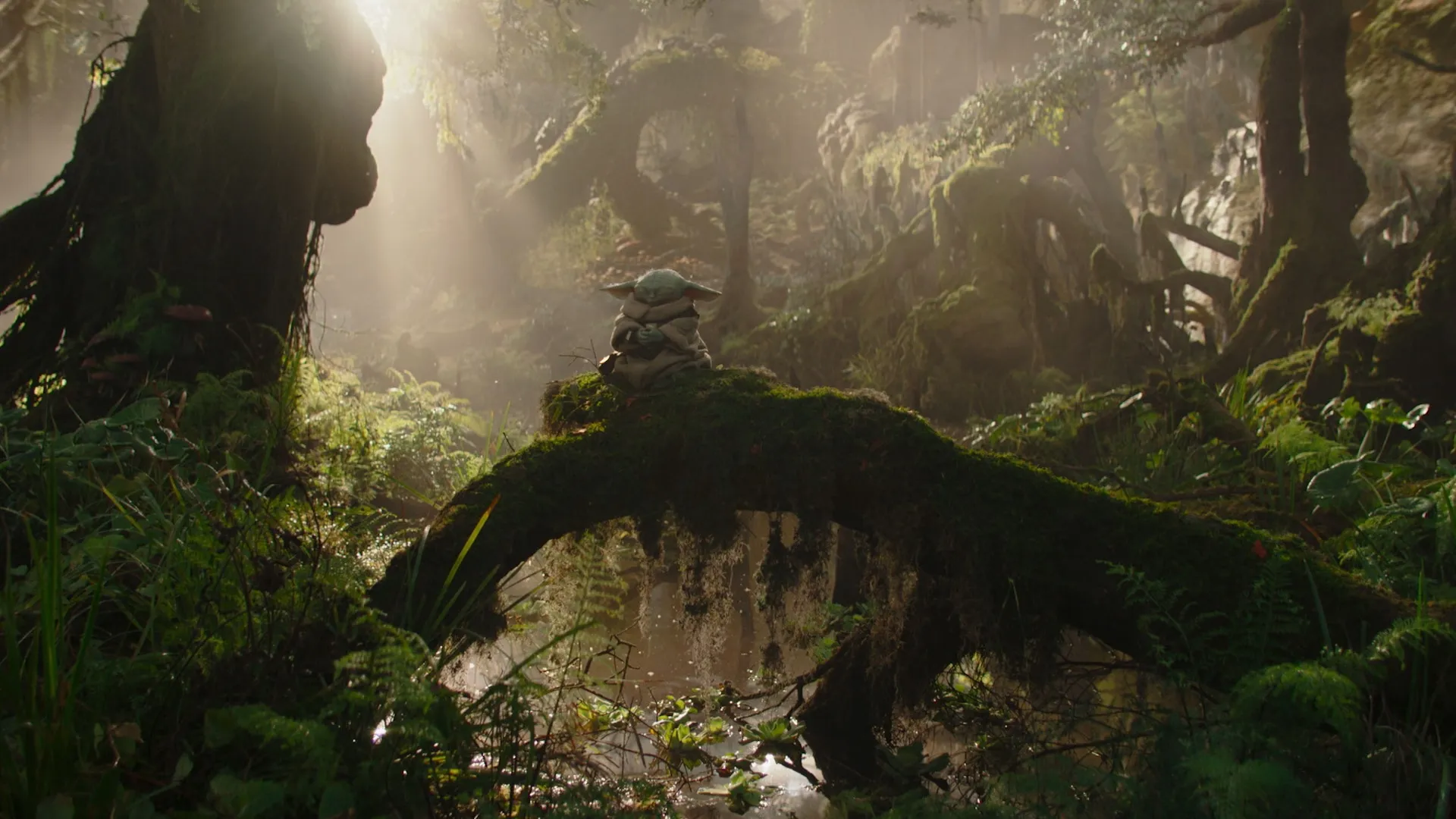 The Mandalorian &amp; Grogu Trailer Is a Shot of Pure Star Wars Adrenaline