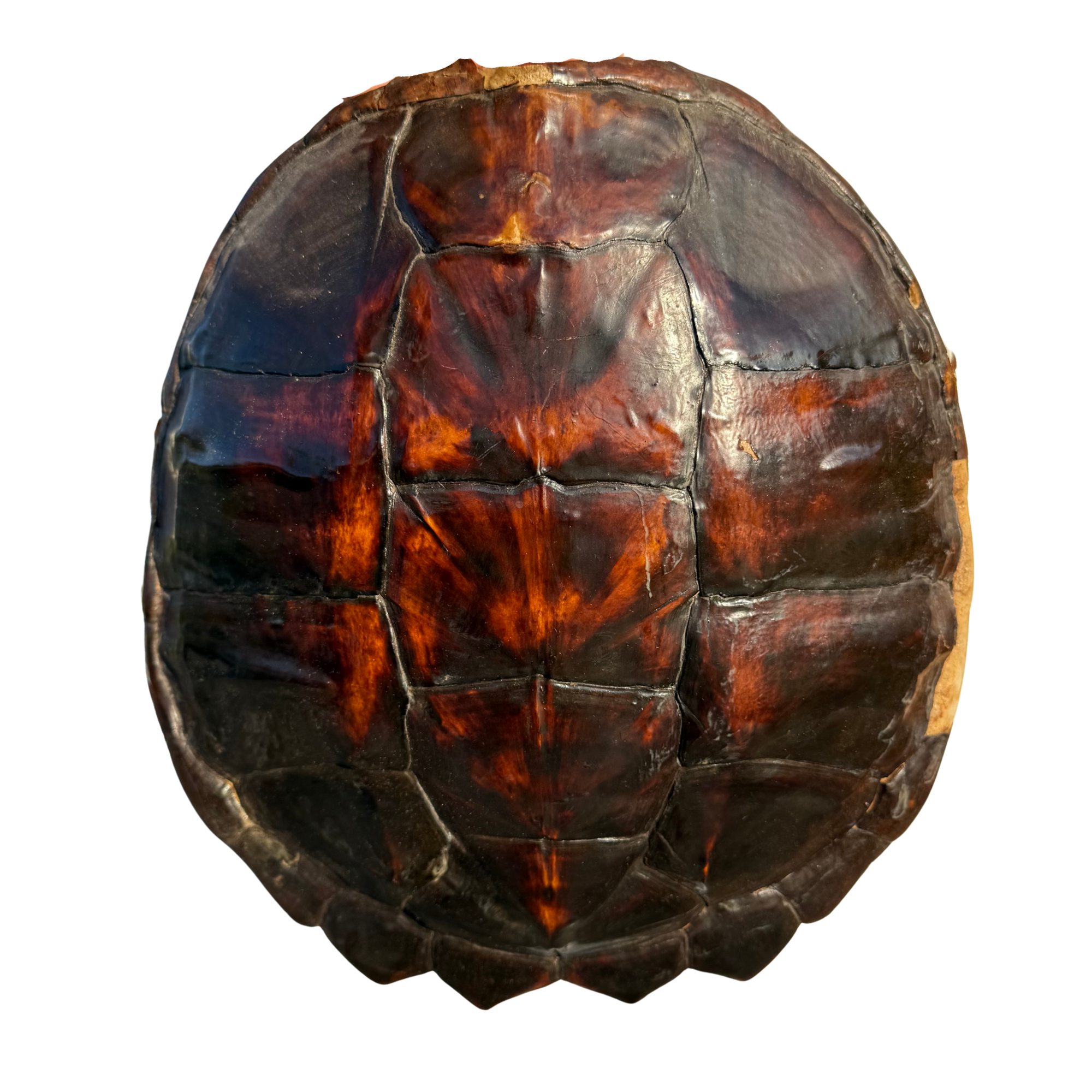 Listings - 2026-03-16T085350.286.png