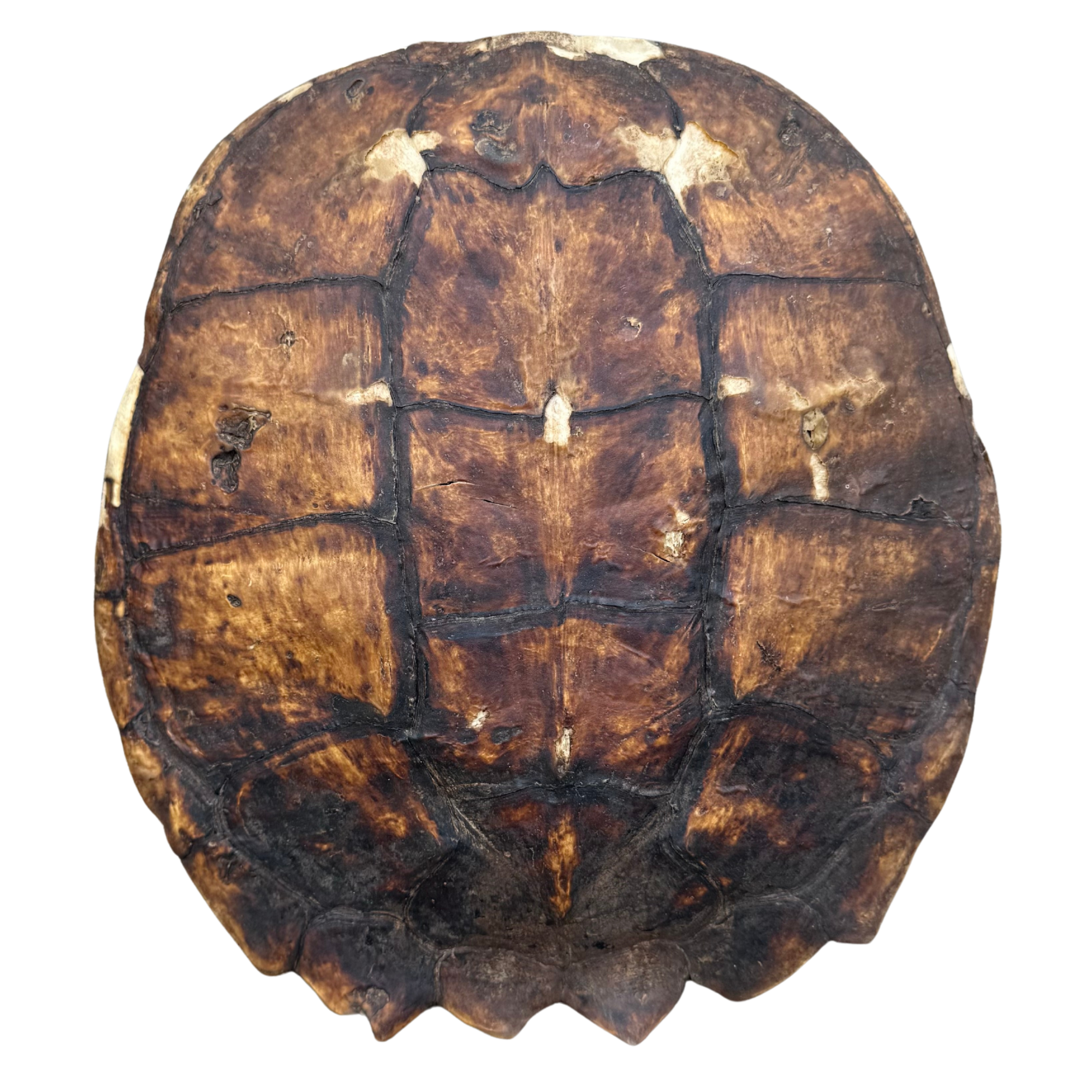 Listings - 2026-04-09T112311.227.png