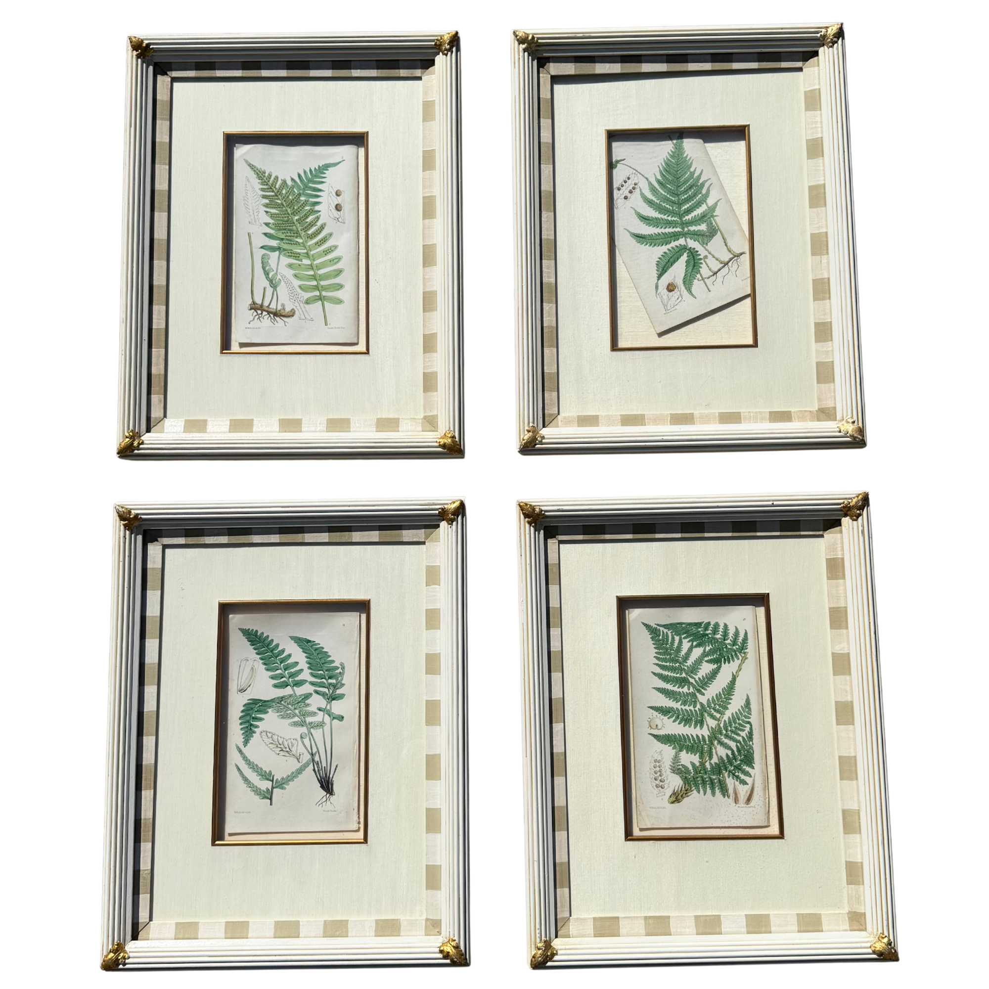 Vintage Botanical Prints With Custom Striped Frames – Set of 4