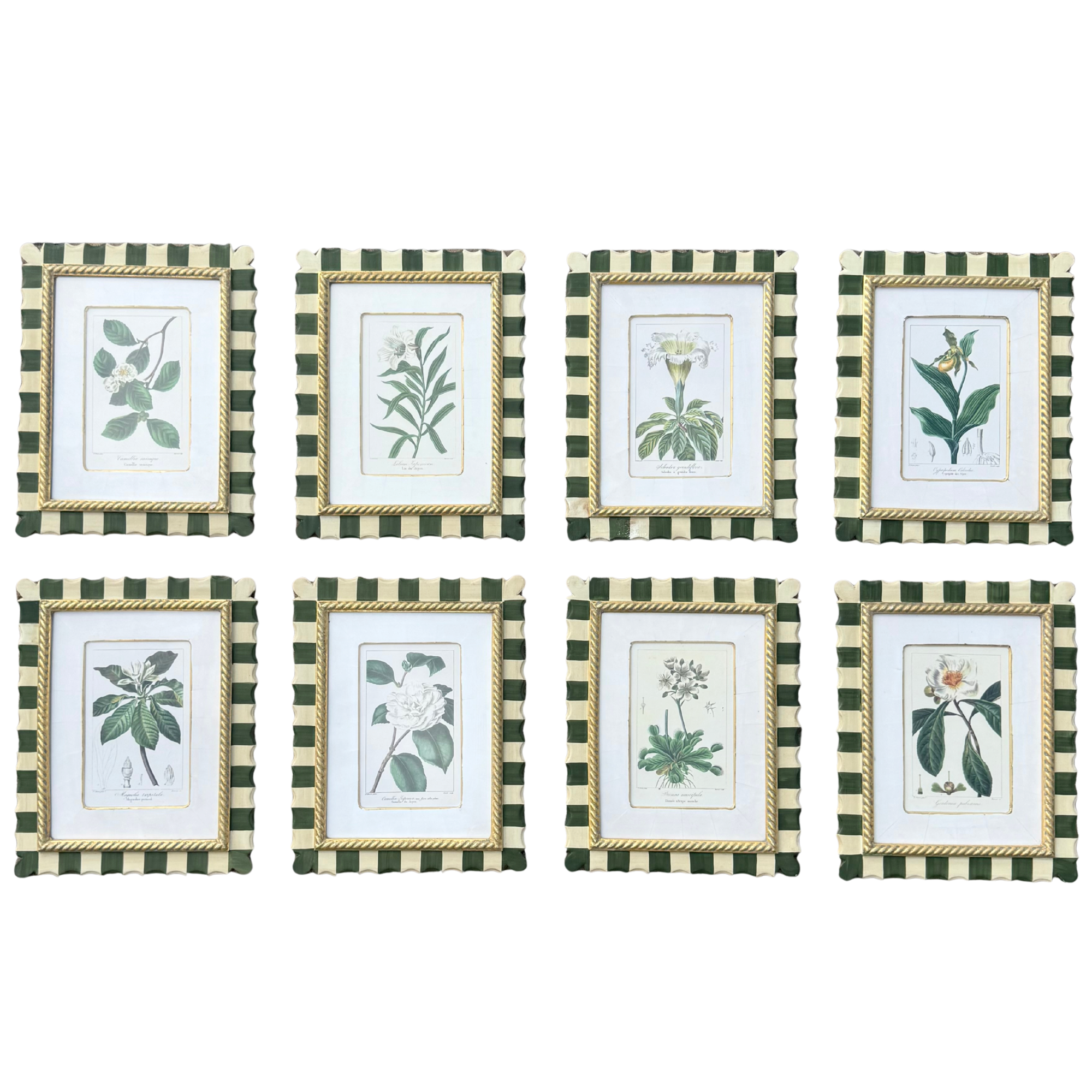 Trowbridge Botanical Prints in Custom Striped Frames - Set of 8