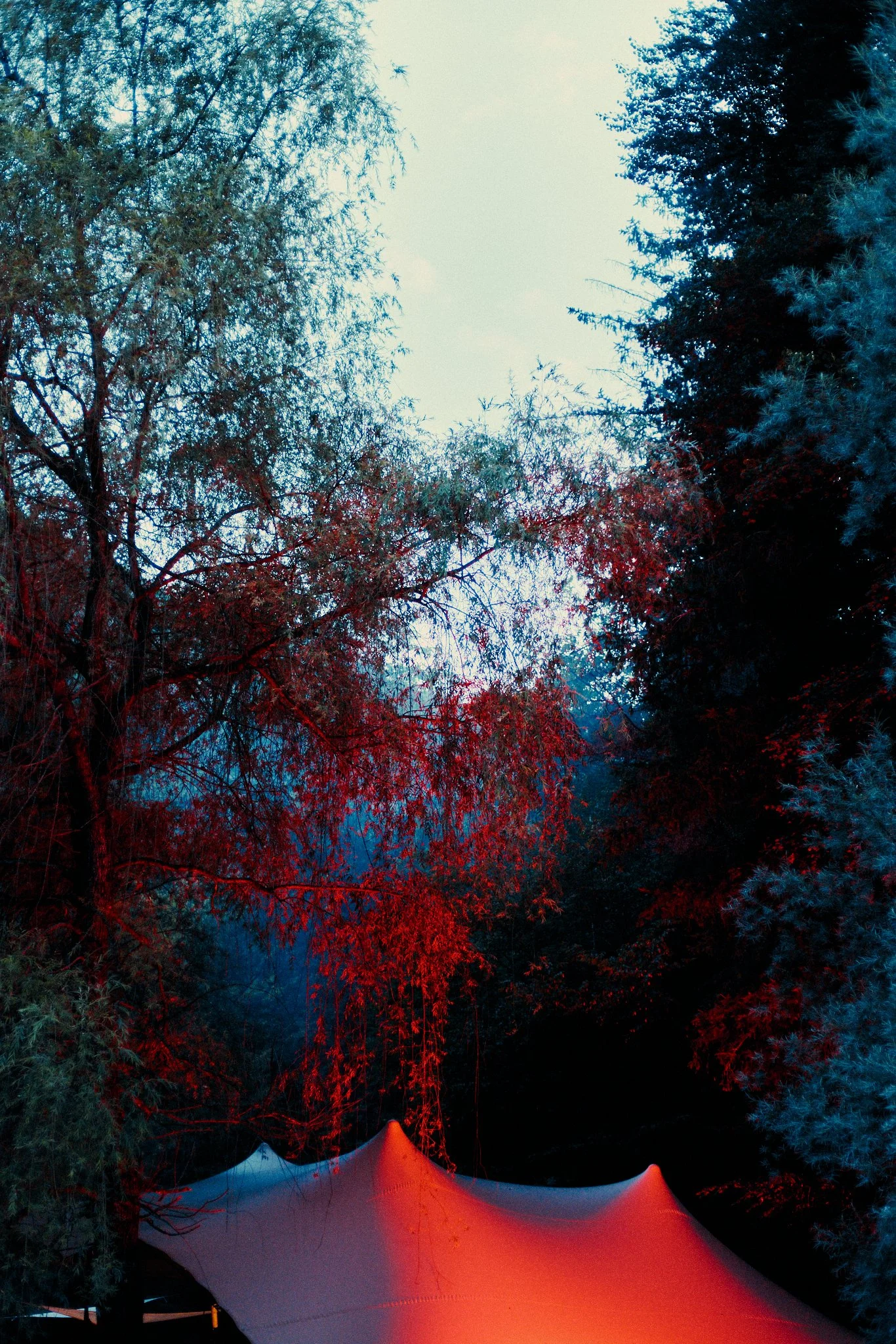 Butik 2025 x Arin - Web res - 13.jpg