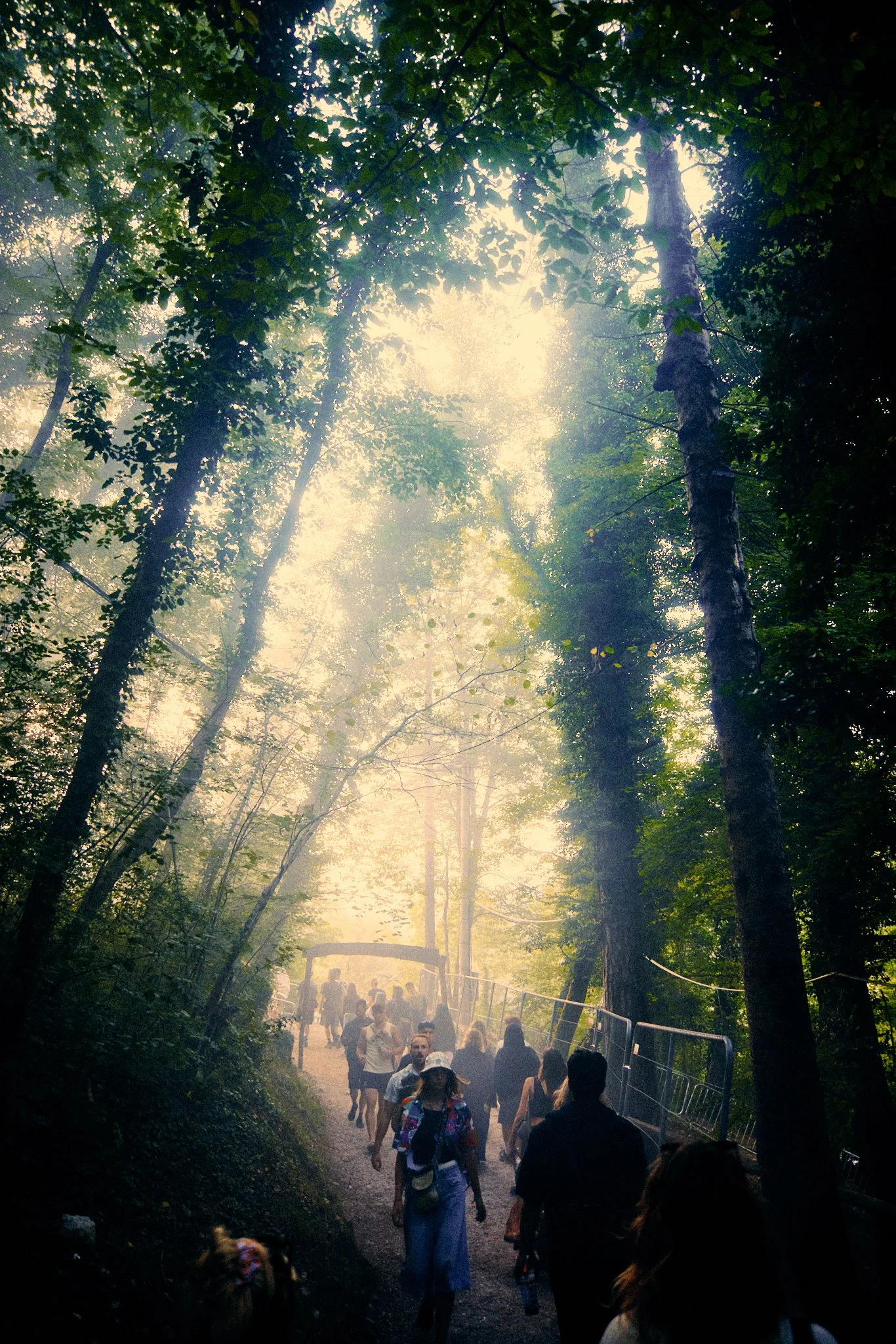 Butik 2025 x Arin - Web res - 191.jpg