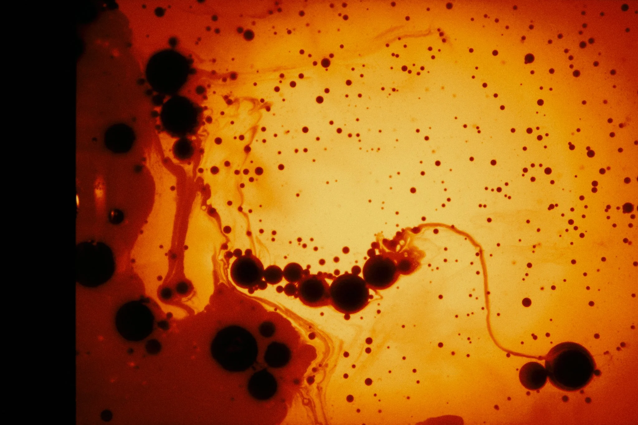 Hei' An_BTS_Day-2 x Arin 20.jpg