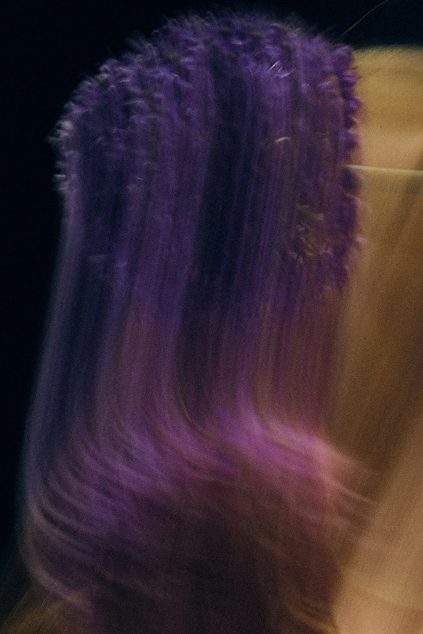 Eva Zala x Arin 35.jpg