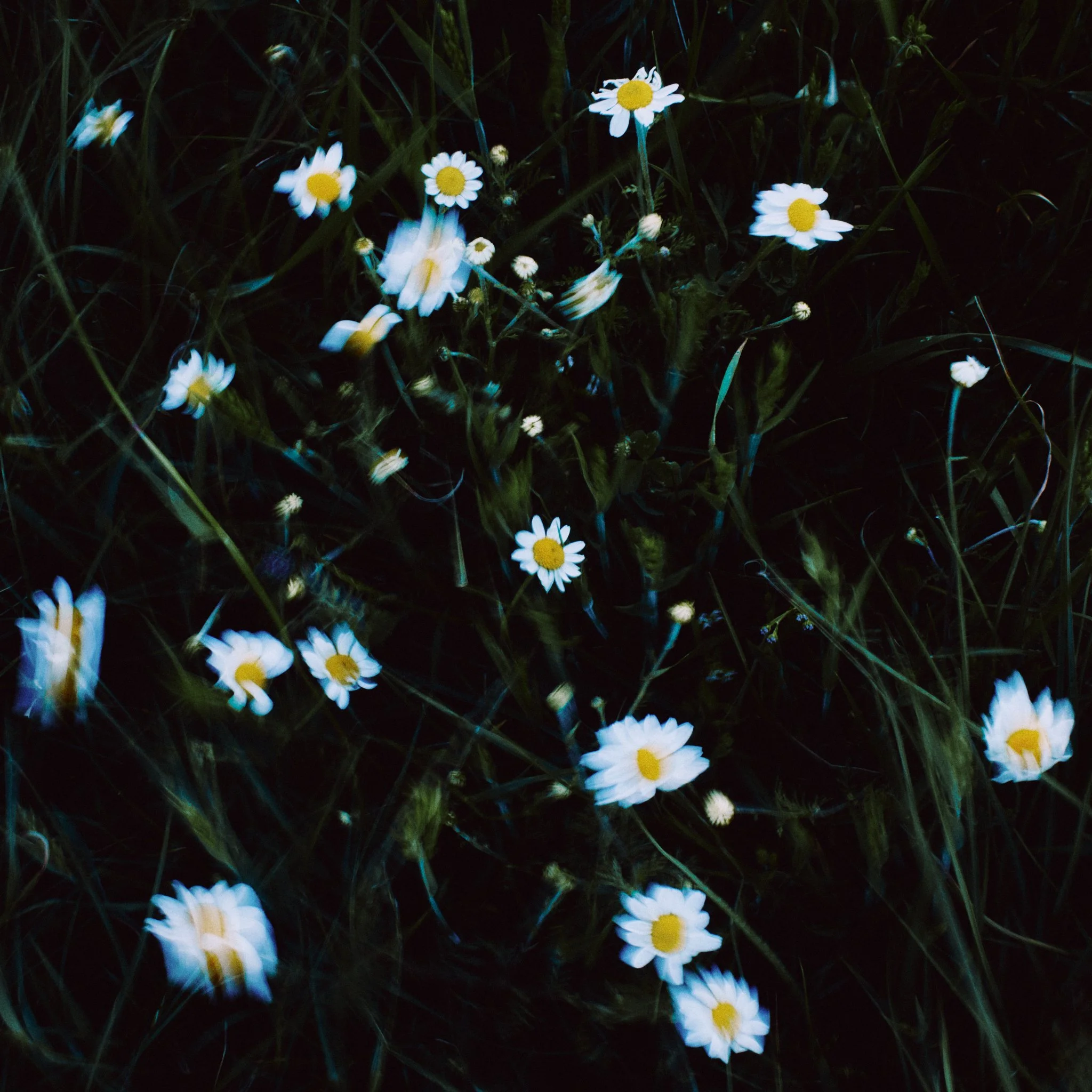 Hei' An_BTS_Day-1 x Arin 40.jpg