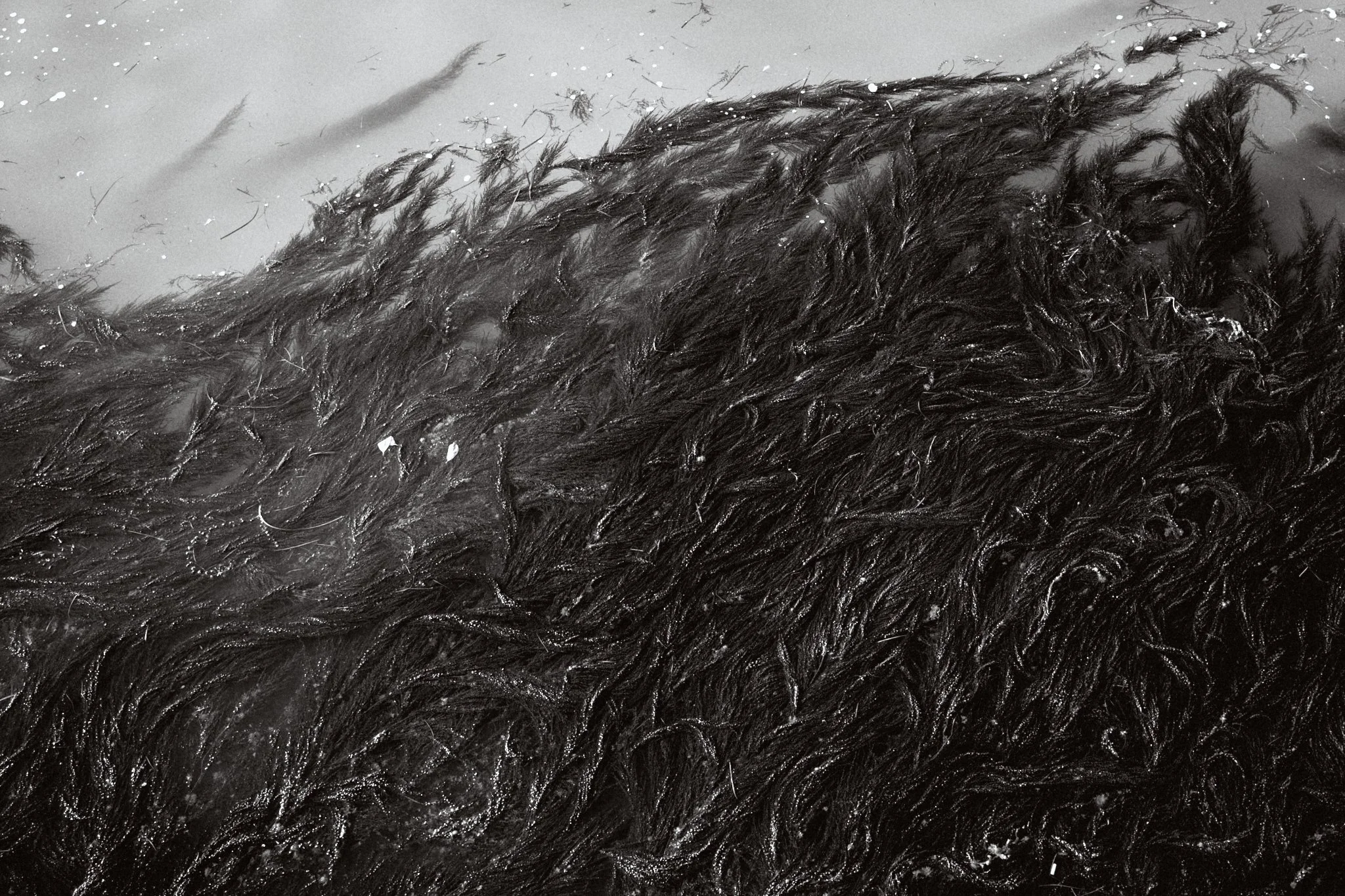 MennYacht Venice 2025_159.jpg