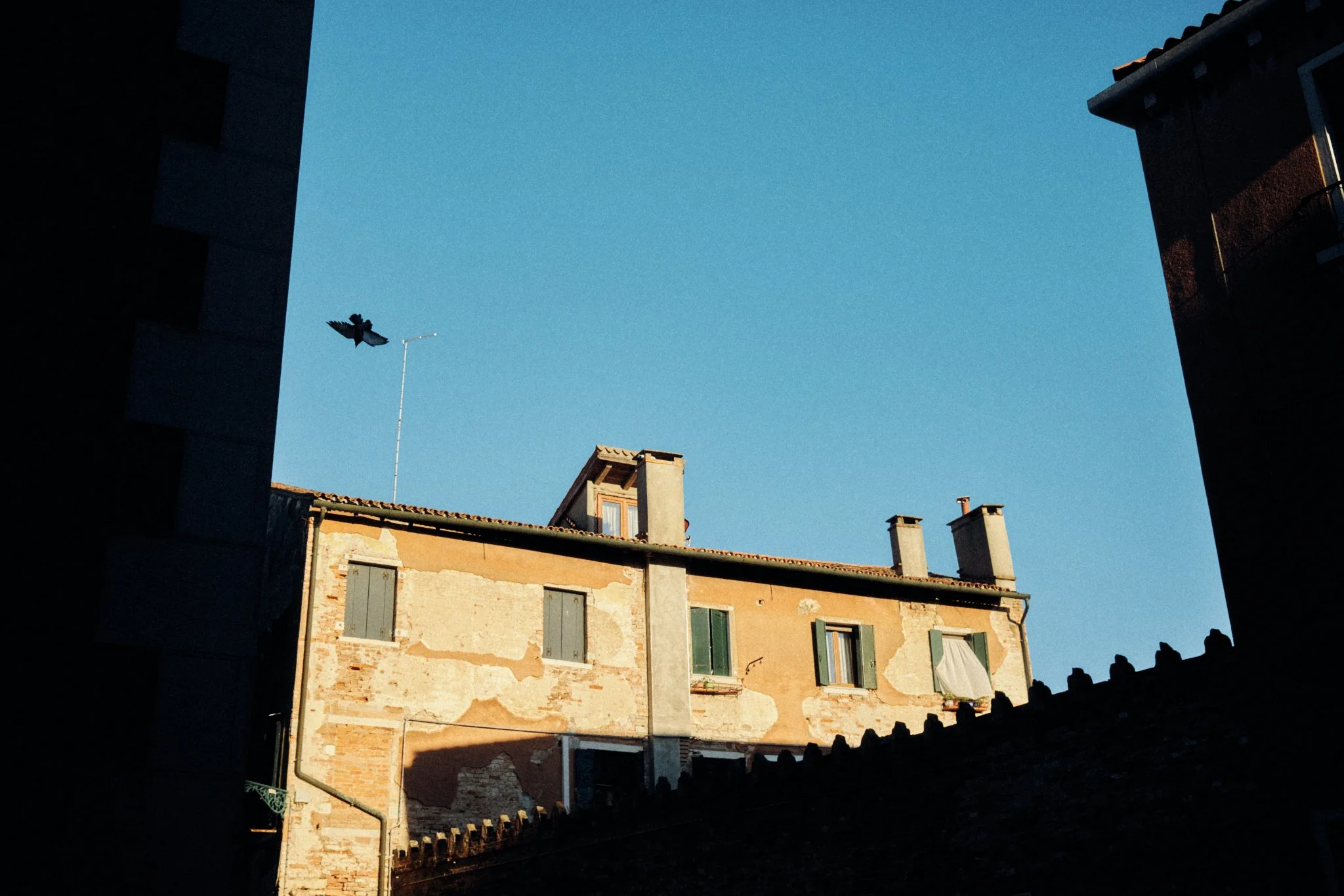 MennYacht Venice 2025_161.jpg