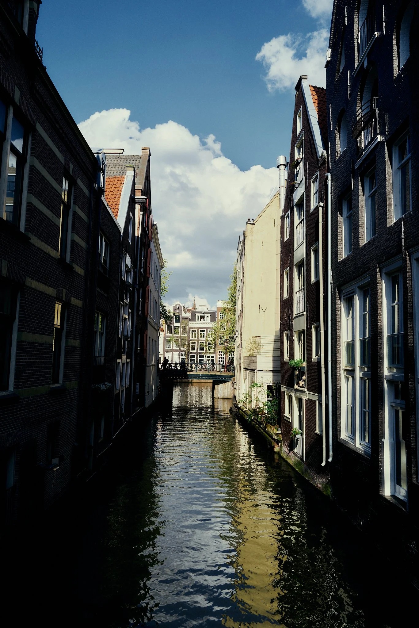 Db x raw x Arin - Amsterdam 2026 - Web res - 135.jpg