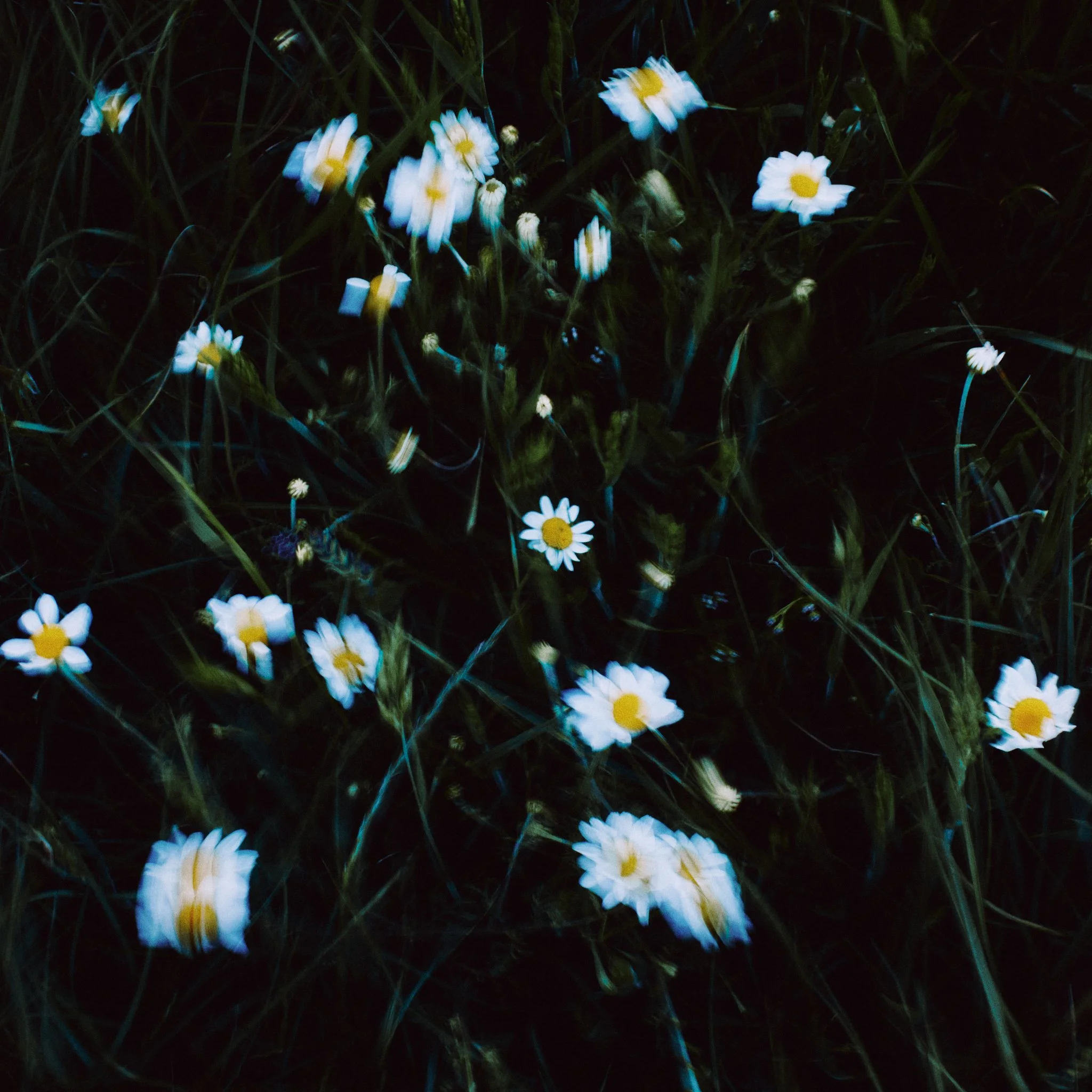 Hei' An_BTS_Day-1 x Arin 39.jpg