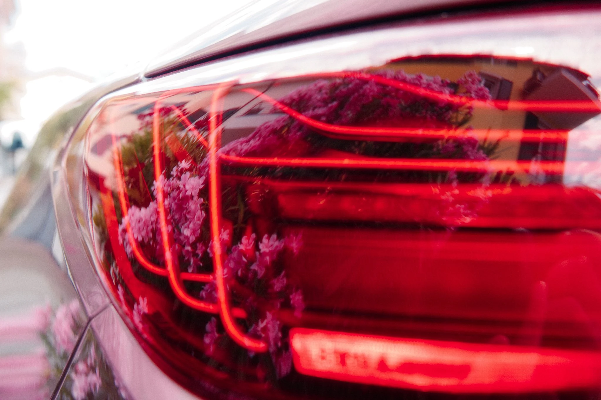 BMW M4 CC x Arin 58.jpg