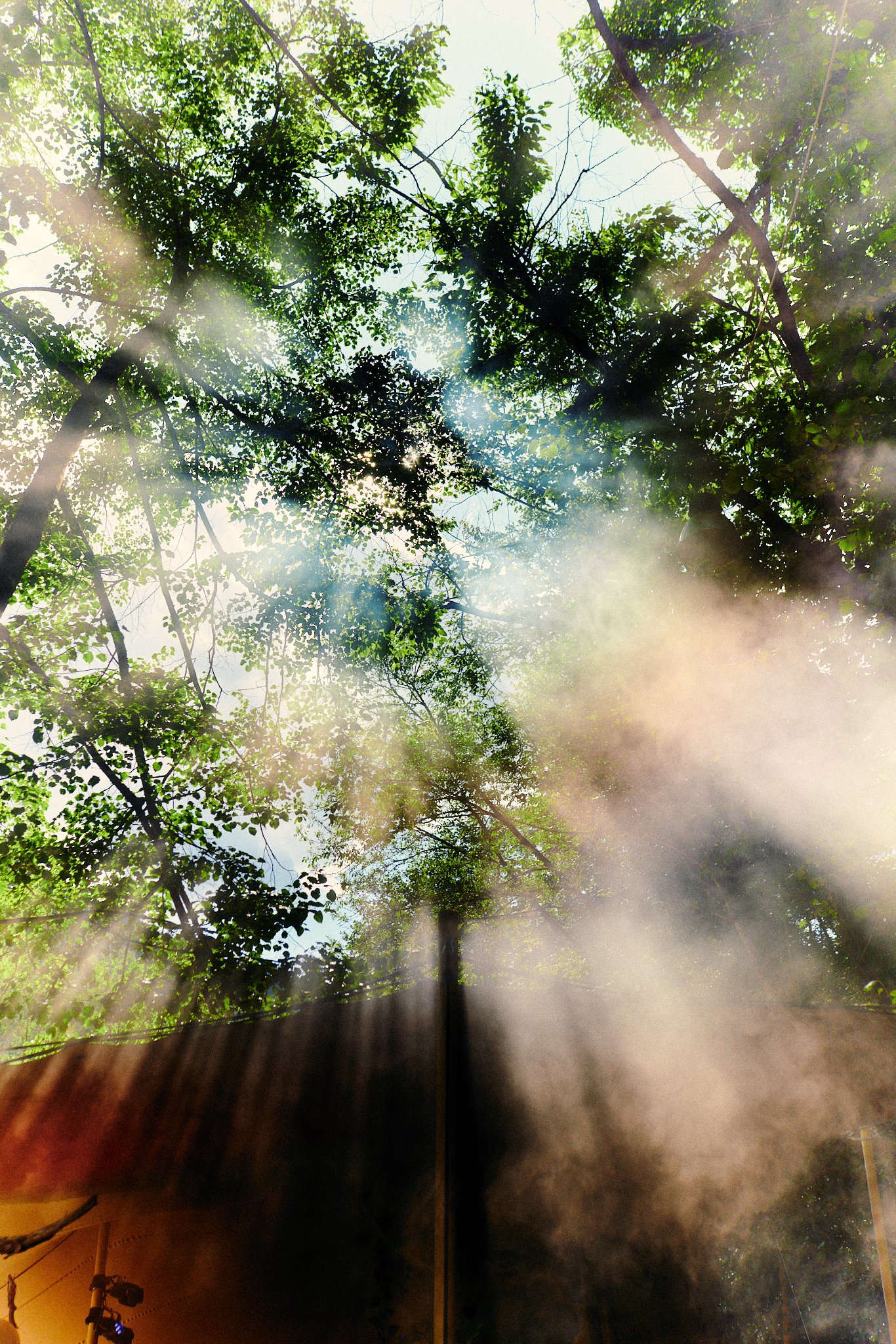 Butik 2025 x Arin - Web res - 49.jpg