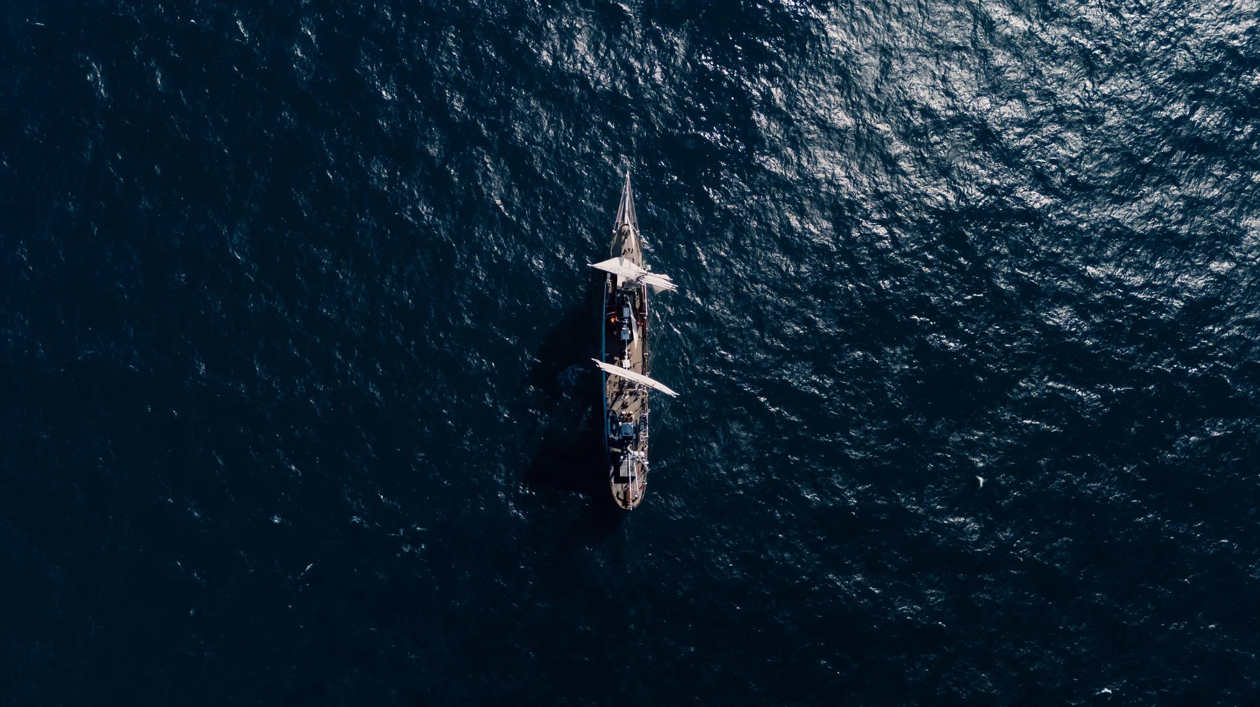 STATSRAAD LEHMKUHL