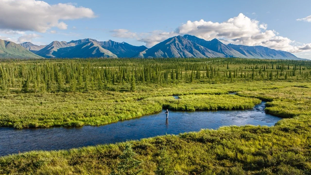 Alaska Cruise. A person fishing in a river in a lush green valley surrounded by mountain ranges under a partly cloudy sky.