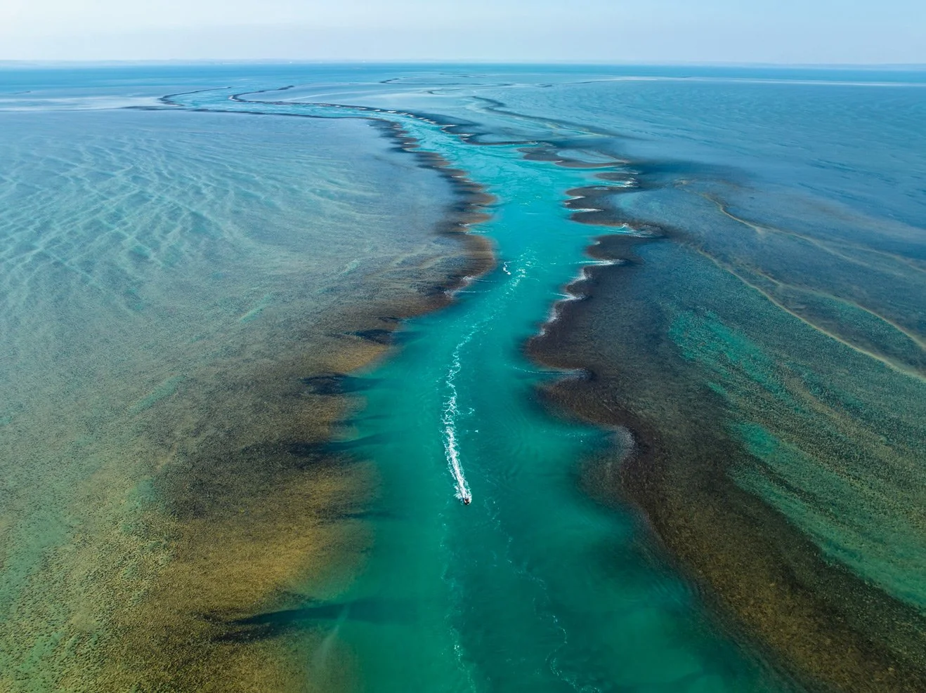 Aerial view of Montgomery Reef in the Kimberley Australia. A turquoise river winding through a shallow sea with dark coral reefs on either side and a boat traveling along the river. WABU Creative, Scott David Martin