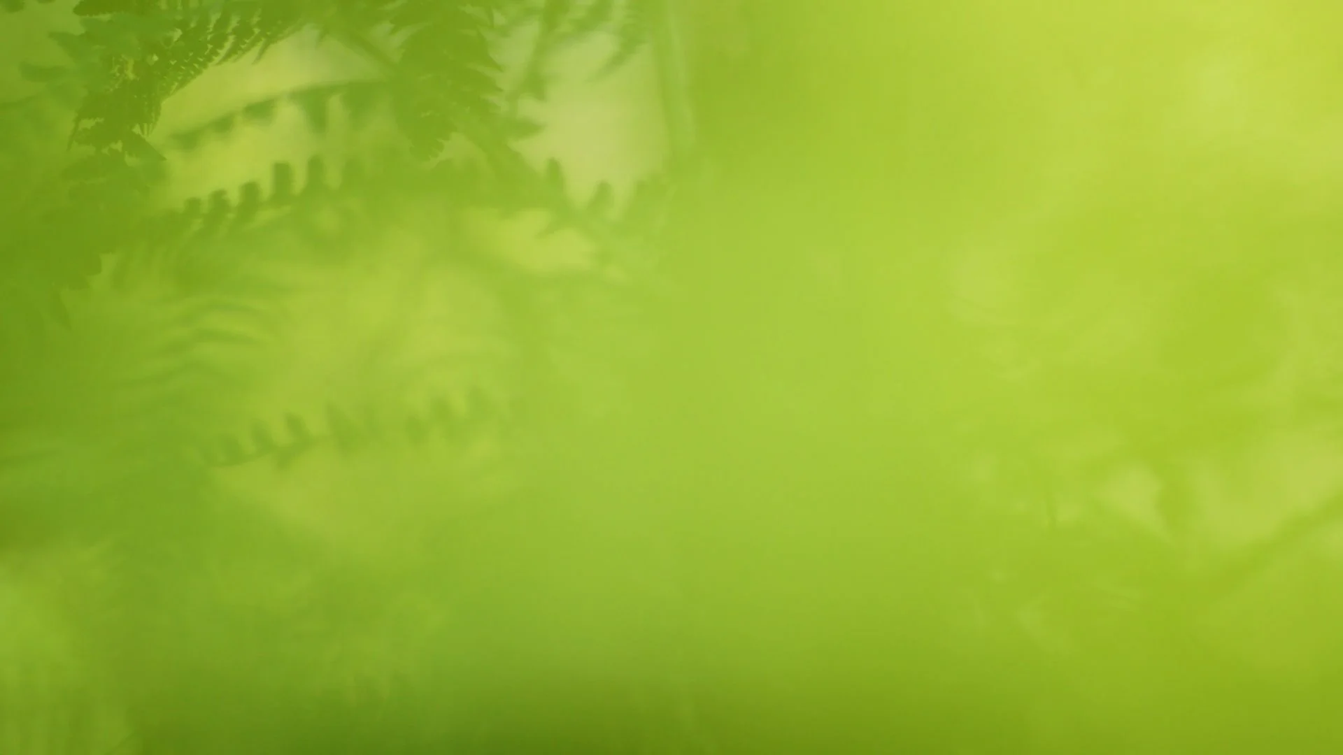 Canada-Production-Company-Whistler-Ferns.jpg