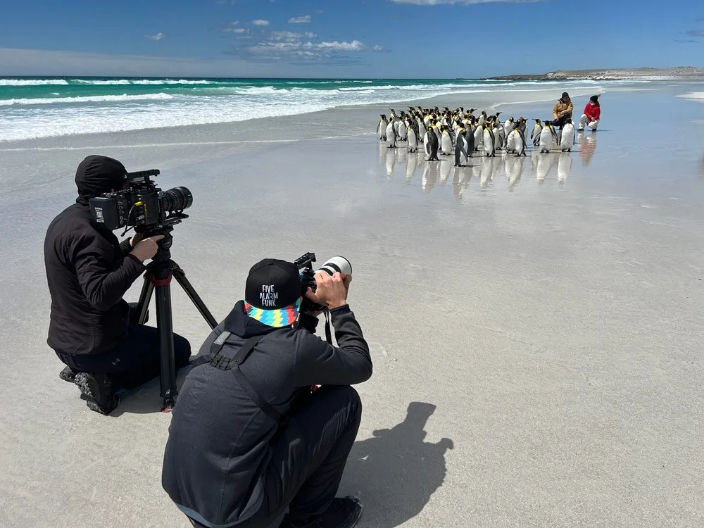 Expedition-Video-Production-Stanley-Falkland-Islands-WABU-Creative-IMG_4515.jpg