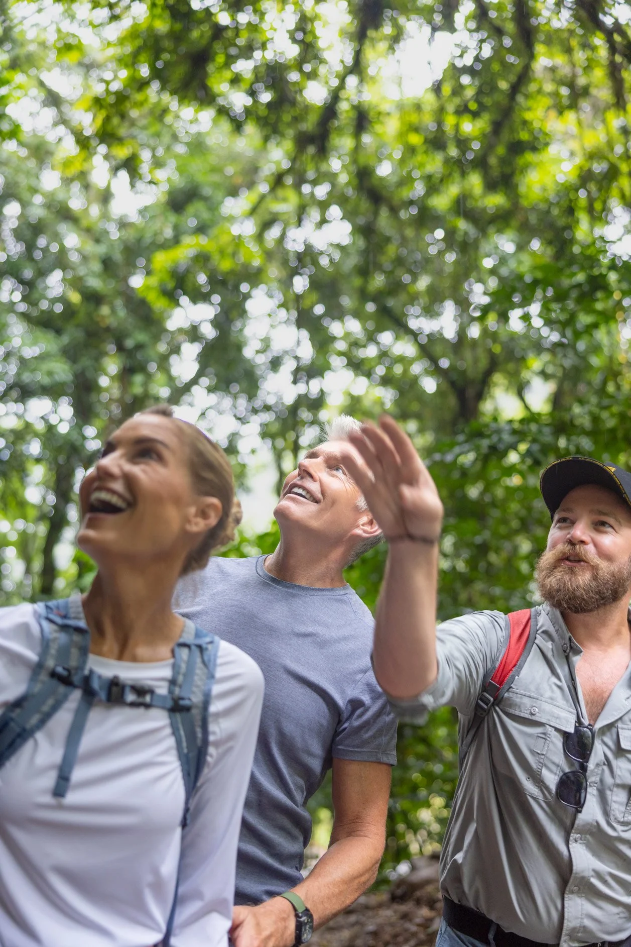 Three people enjoying a hike in a lush green forest, smiling and looking up at the trees.