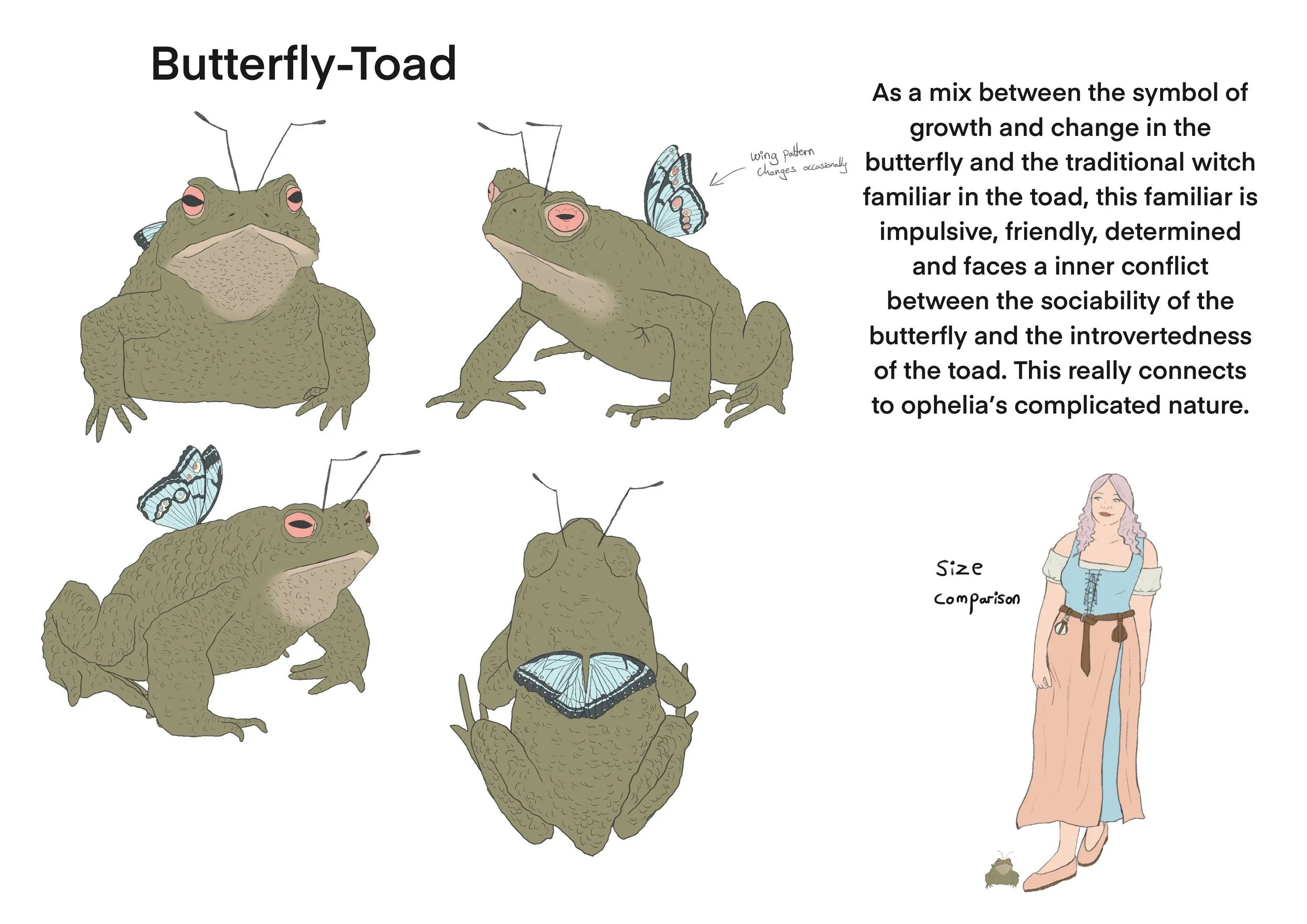 OB butterfly toad.JPG