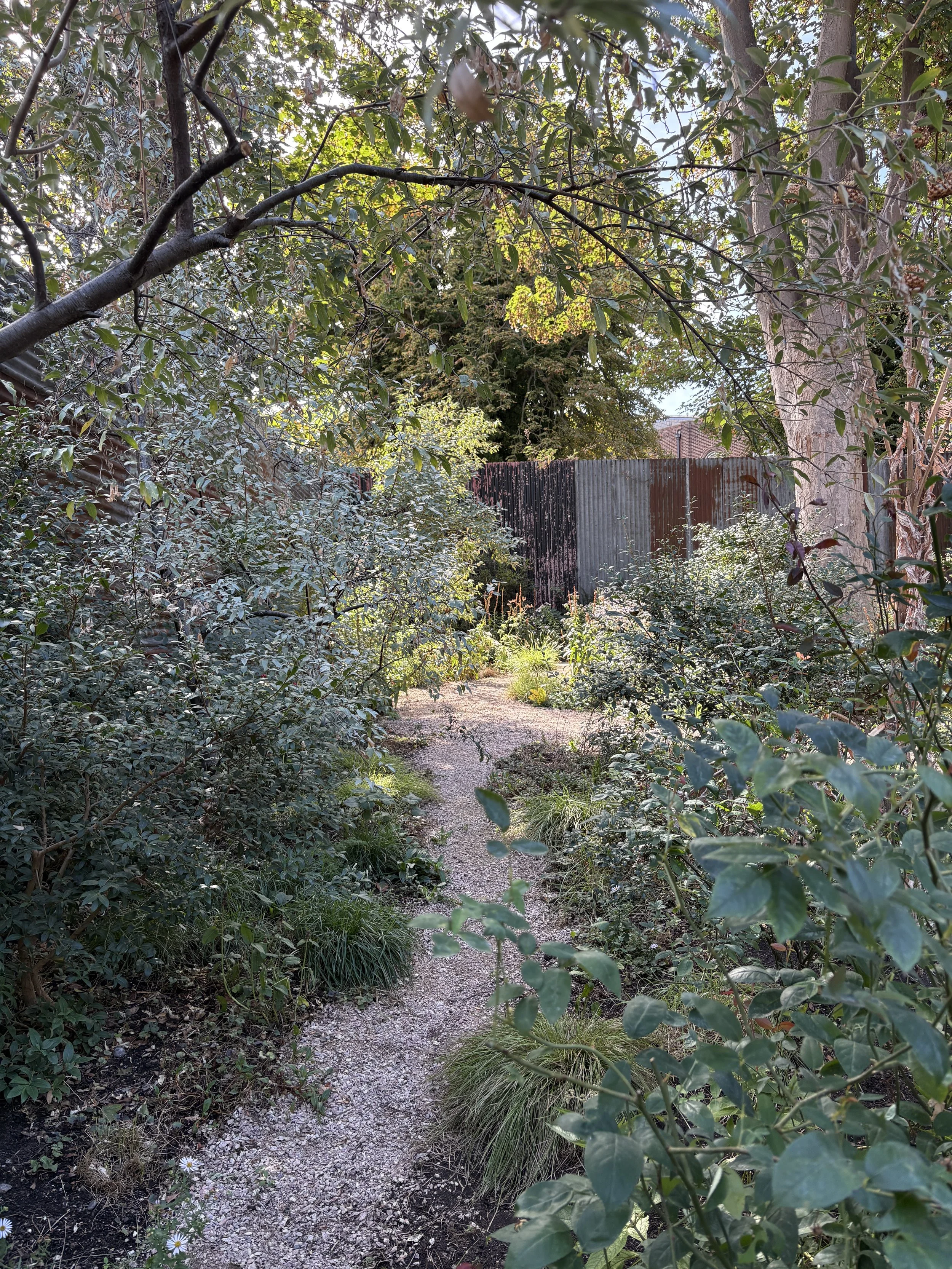 Exchange Erith woodland garden