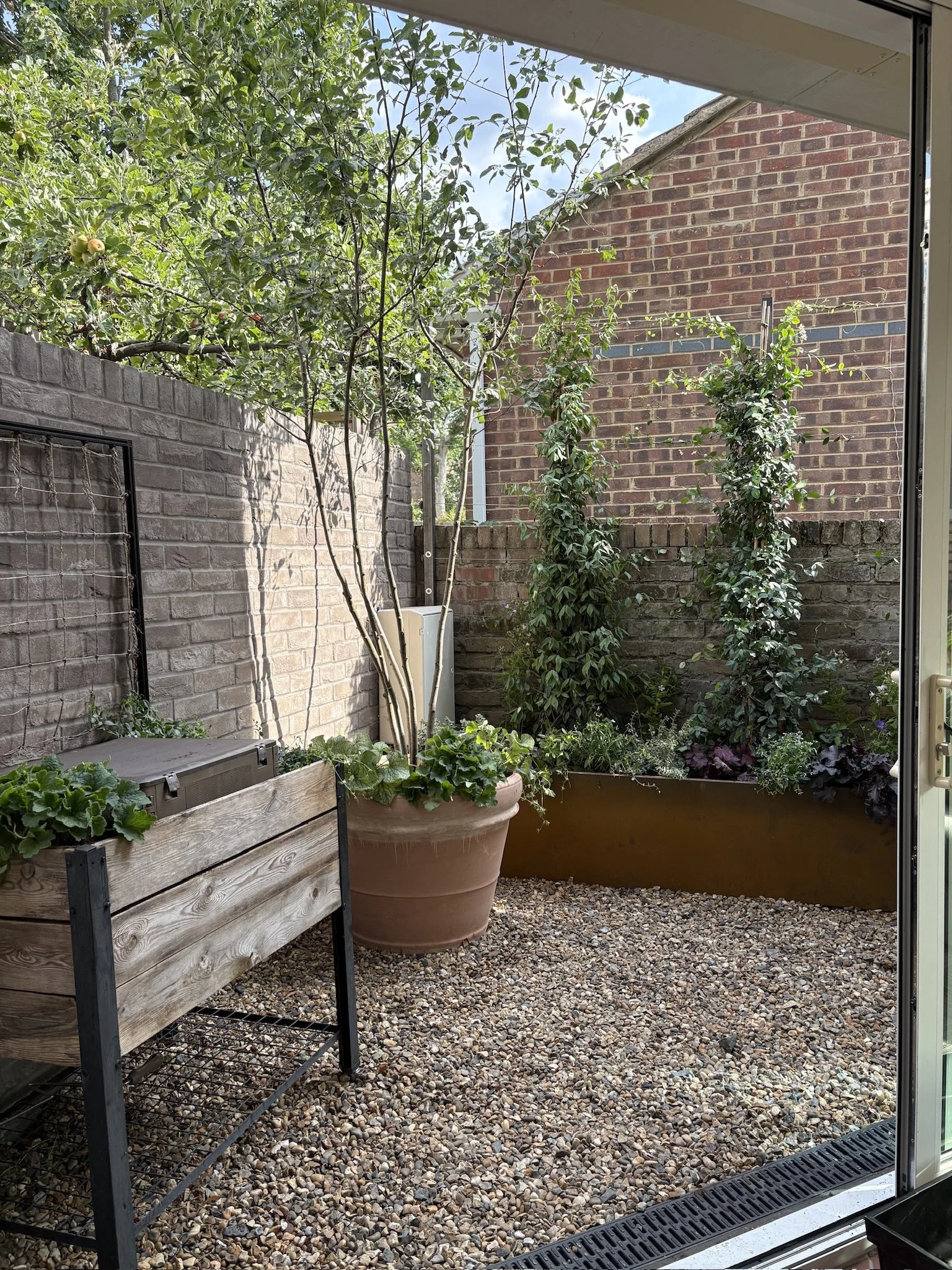 AFTER - LEFT COURTYARD 