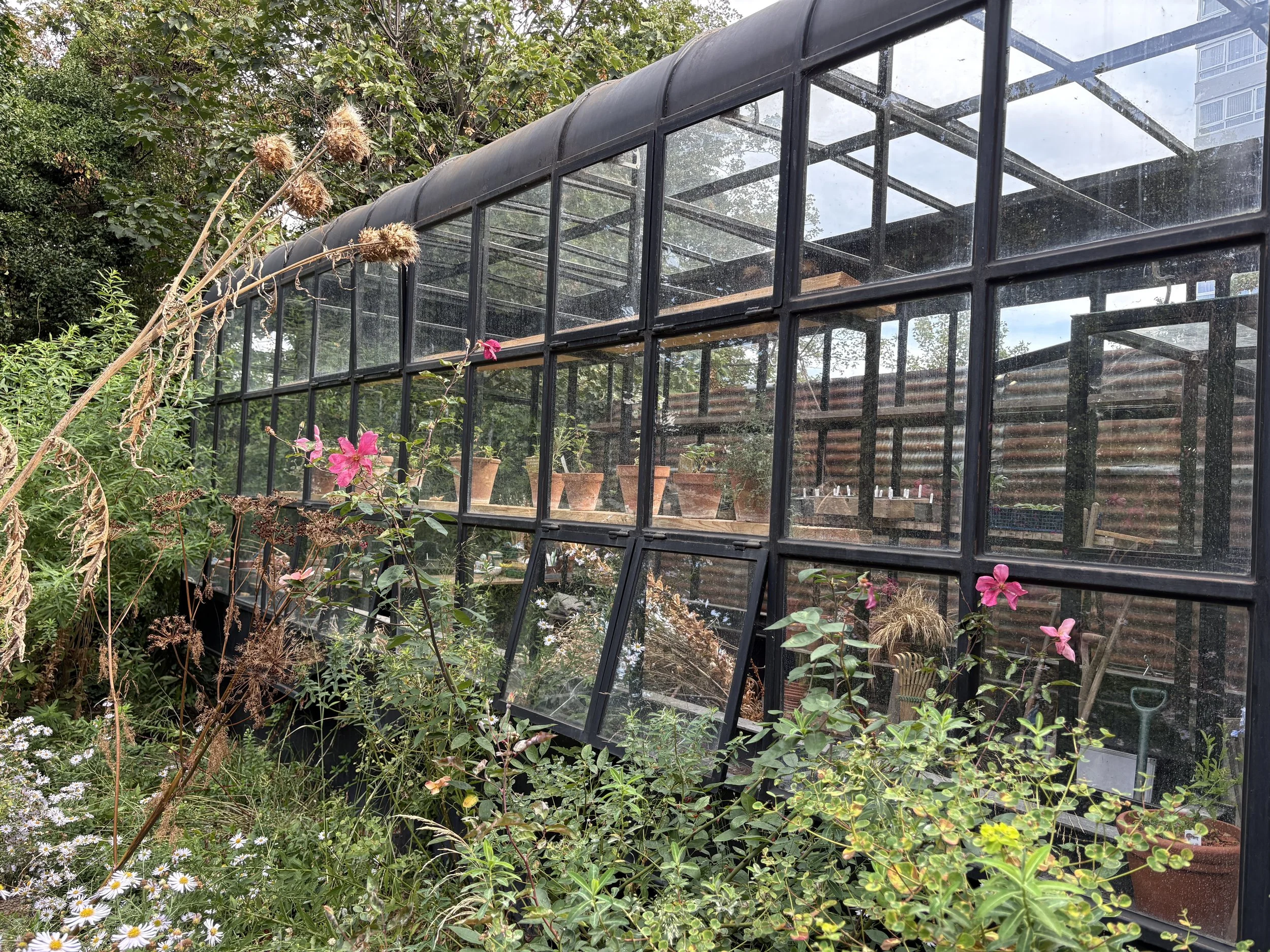 Exchange Erith greenhouse