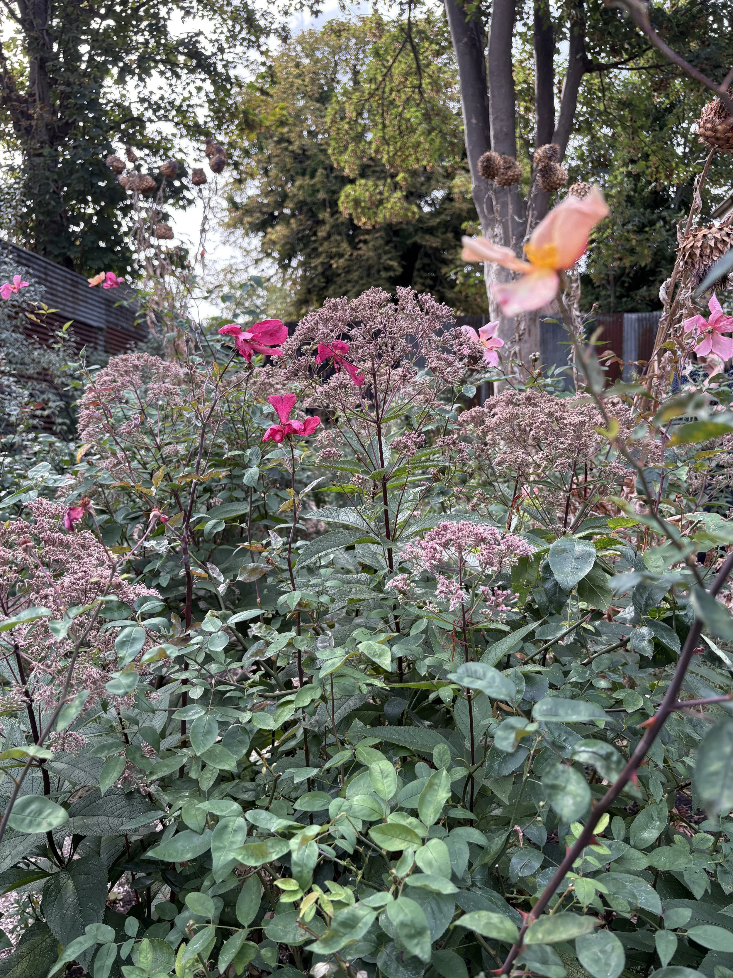 Exchange Erith planting