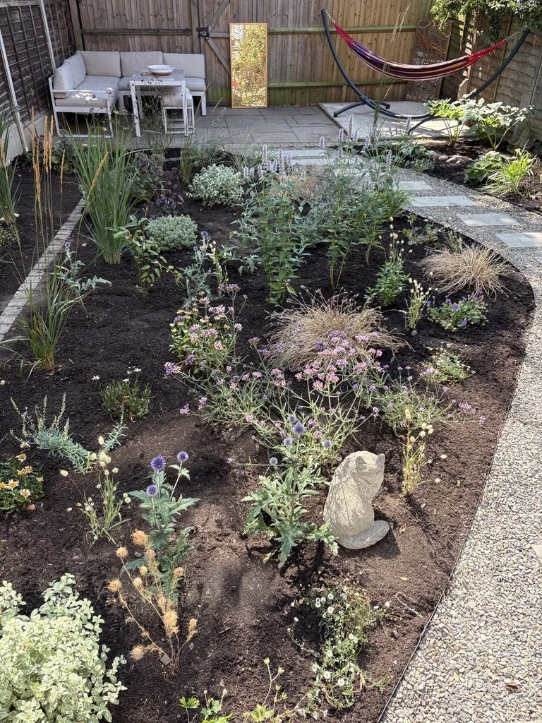 replace lawn with planting