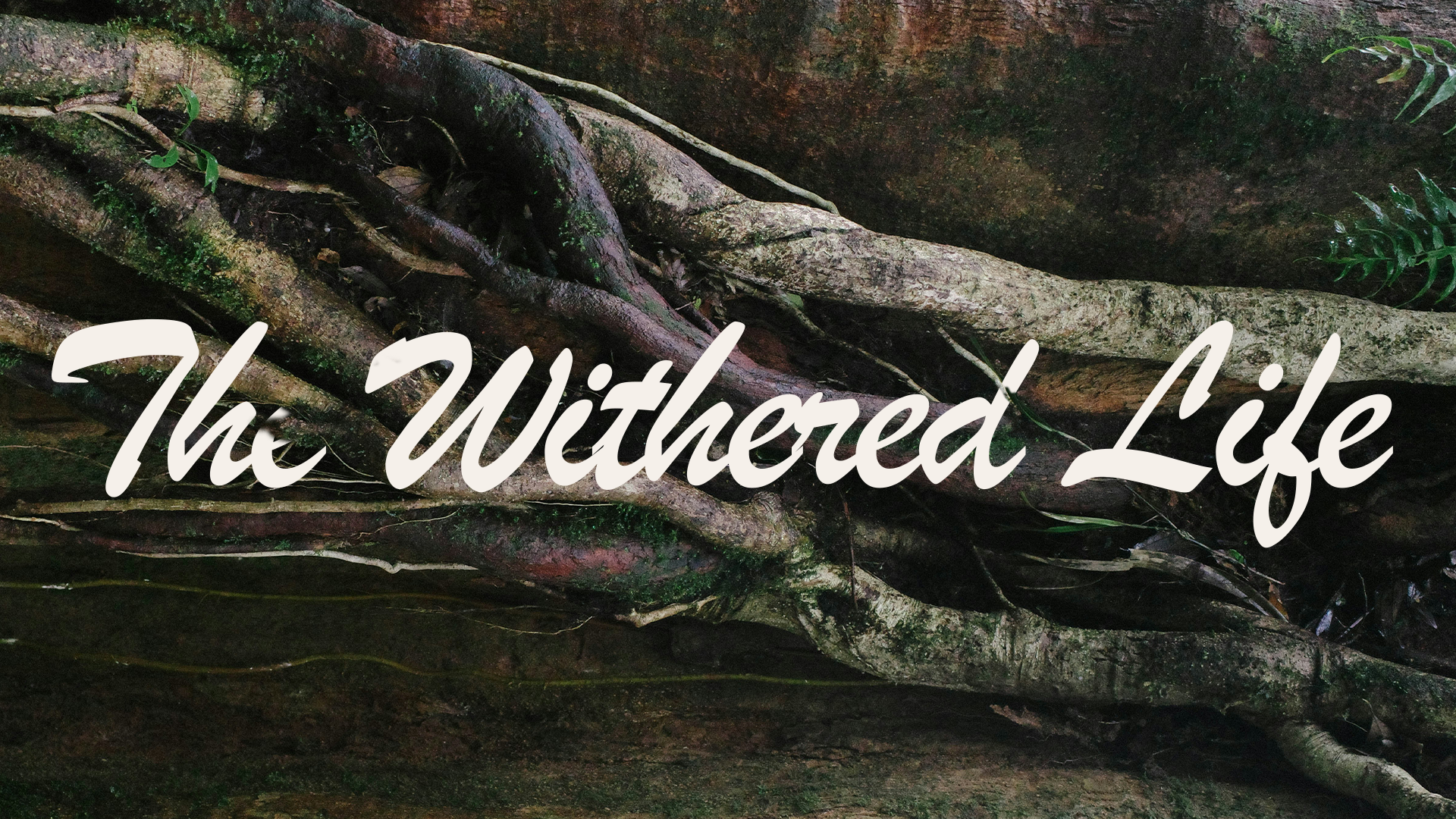 Busy, Successful, but Spiritually Dry