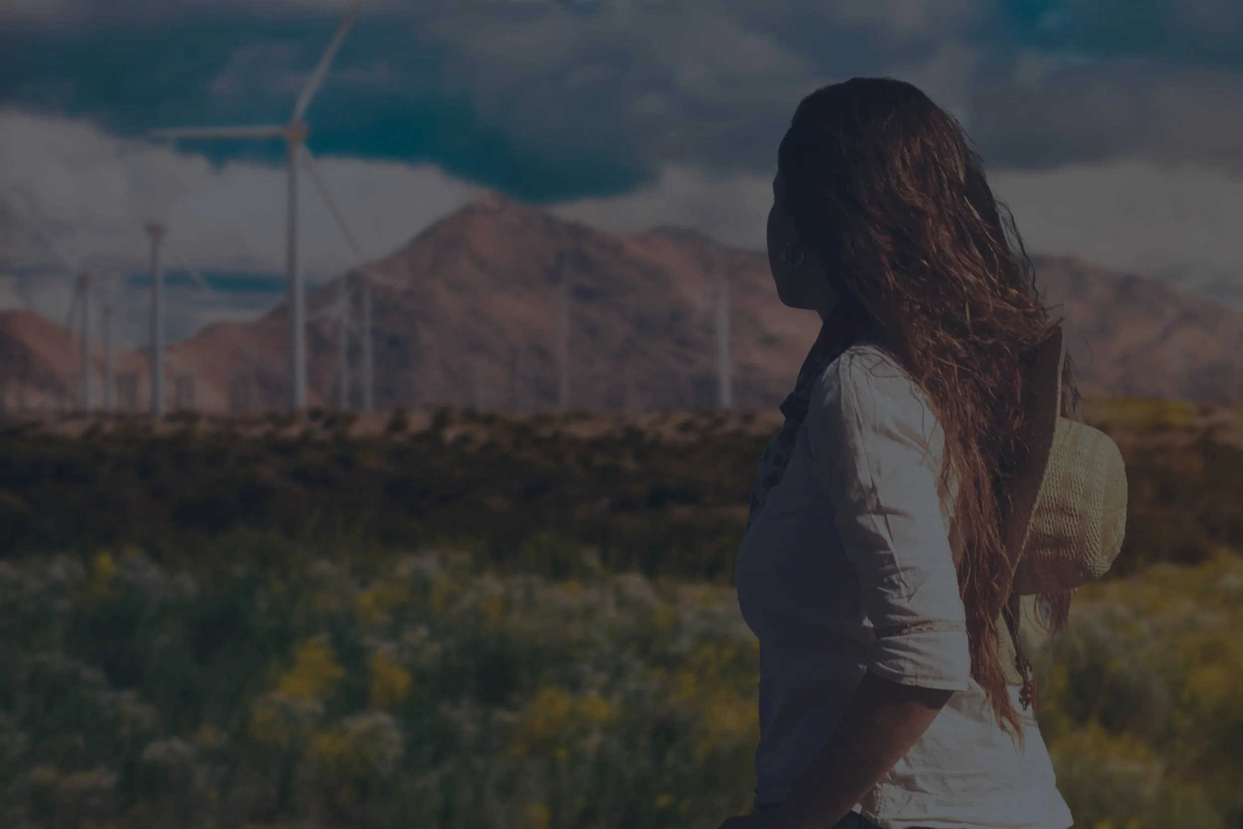 Buenas prácticas globales para incluir a comunidades étnicas y rurales en proyectos de energía renovable