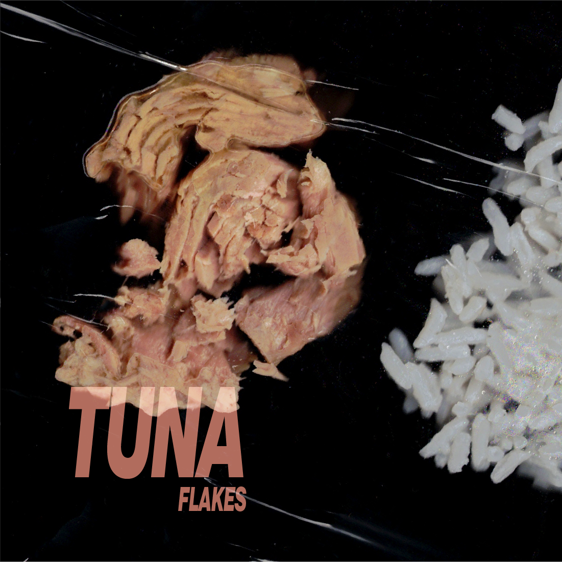 Tuna_3.png