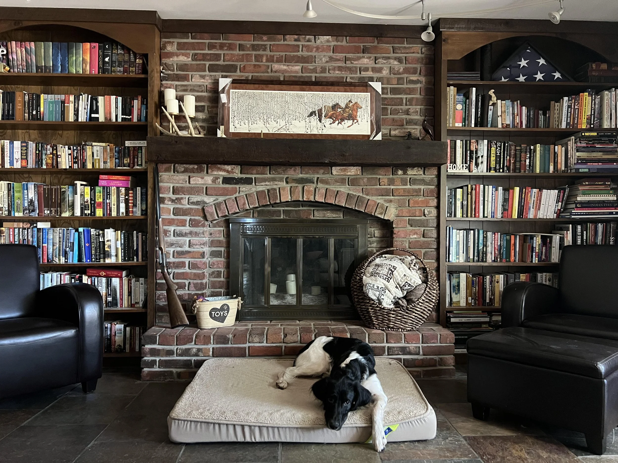 Aldo_Bookshelf SEP2024.jpg