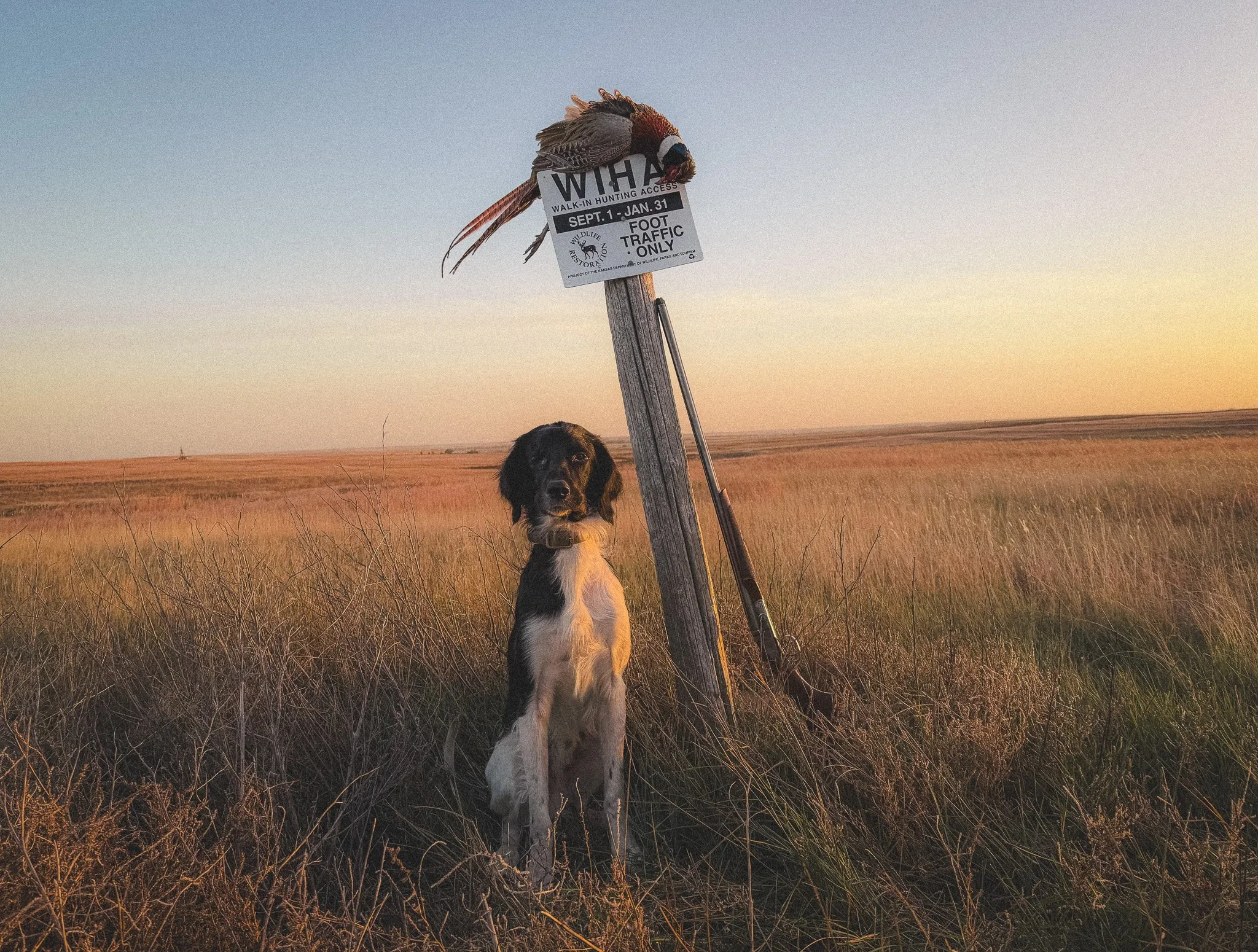 Aldo Posing with a Kansas Rooster 2025.jpg