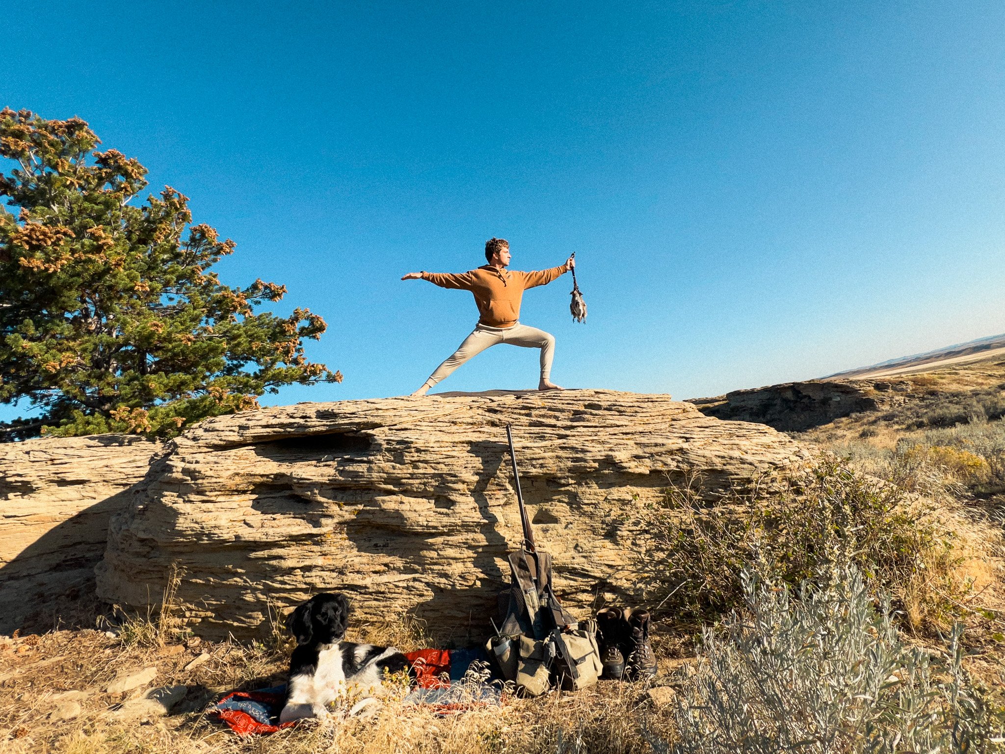 A person in a yoga pose on a large rock in a desert landscape with a dog and hiking gear at the base, under a clear blue sky.