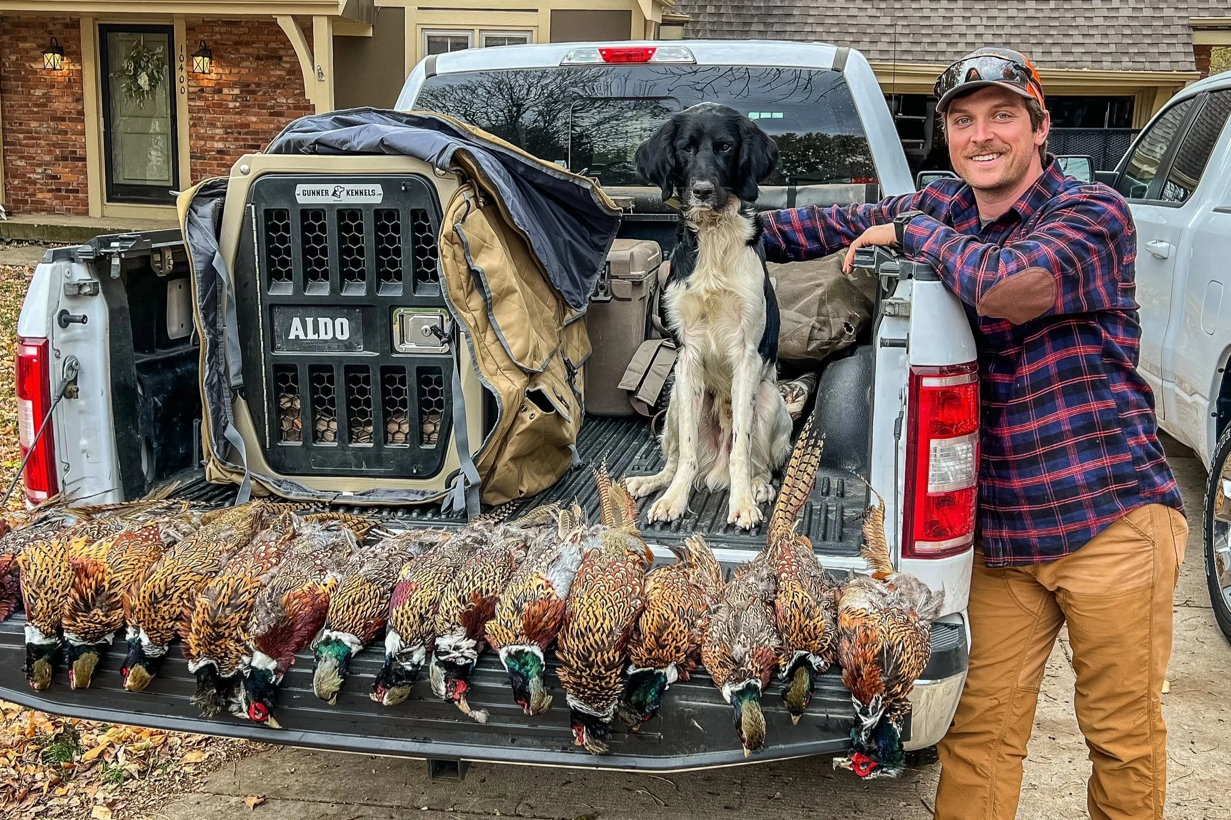 A man in outdoor gear stands next to a pickup truck with a black and white Large Munsterlander hunting dog sitting inside the truck bed. The tailgate features a row of dead pheasants laid out, with vibrant feathers and heads hanging down. 